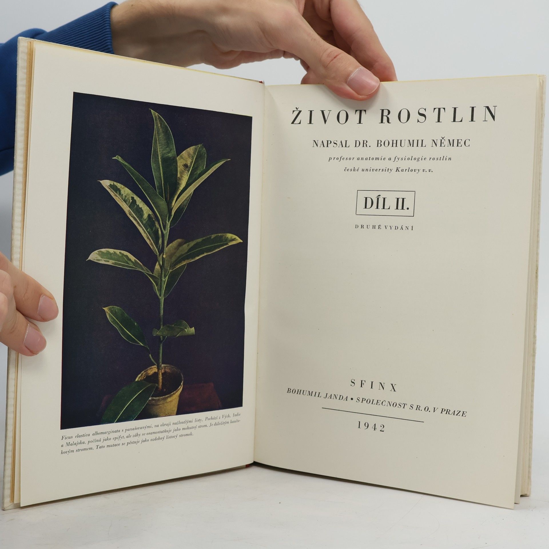 Dr. Bohumil Němec Život rostlin 2