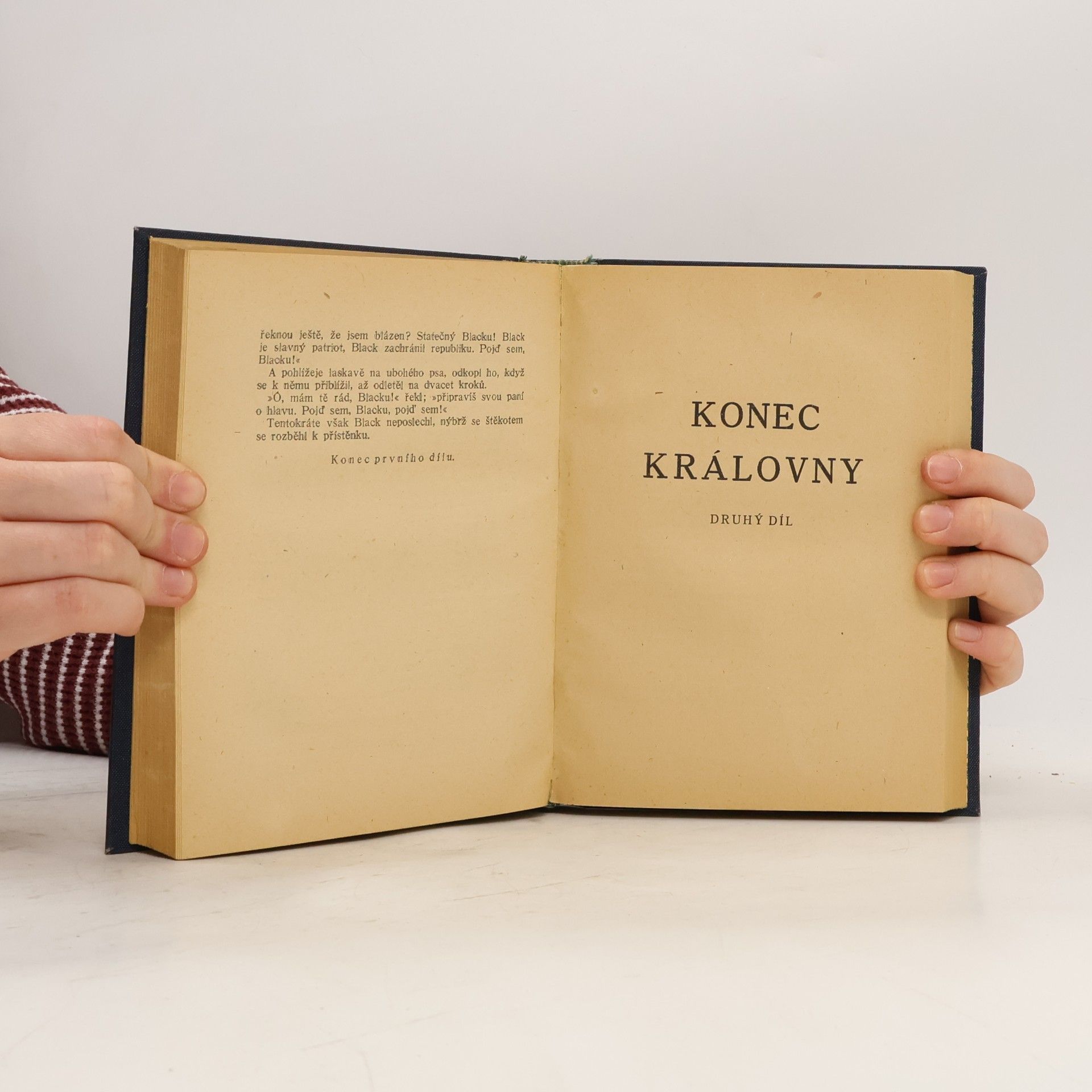 Alexandre Dumas starší Konec královny