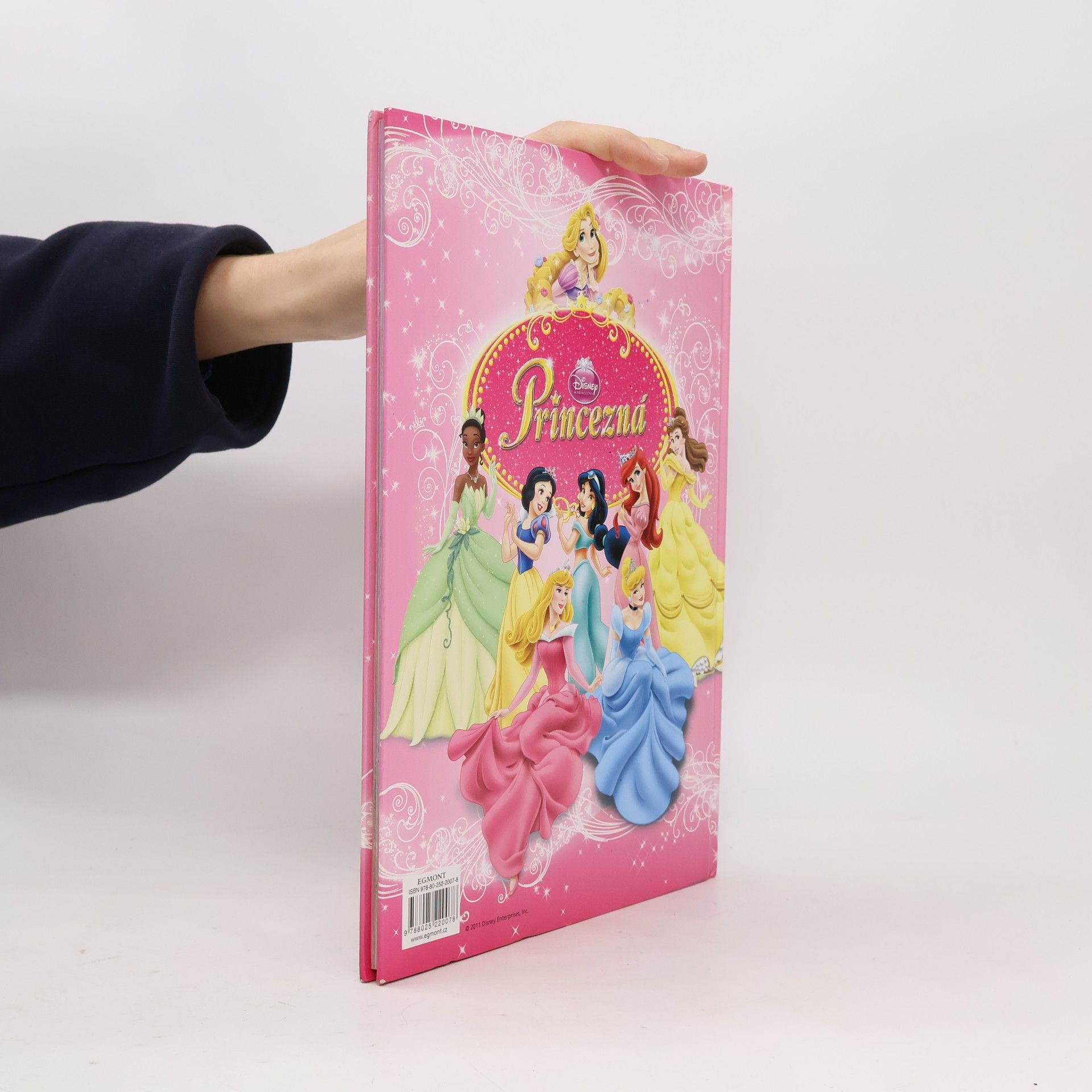 Various authors Disney Princezna - 2012: Princezná Knižka na rok 2012
