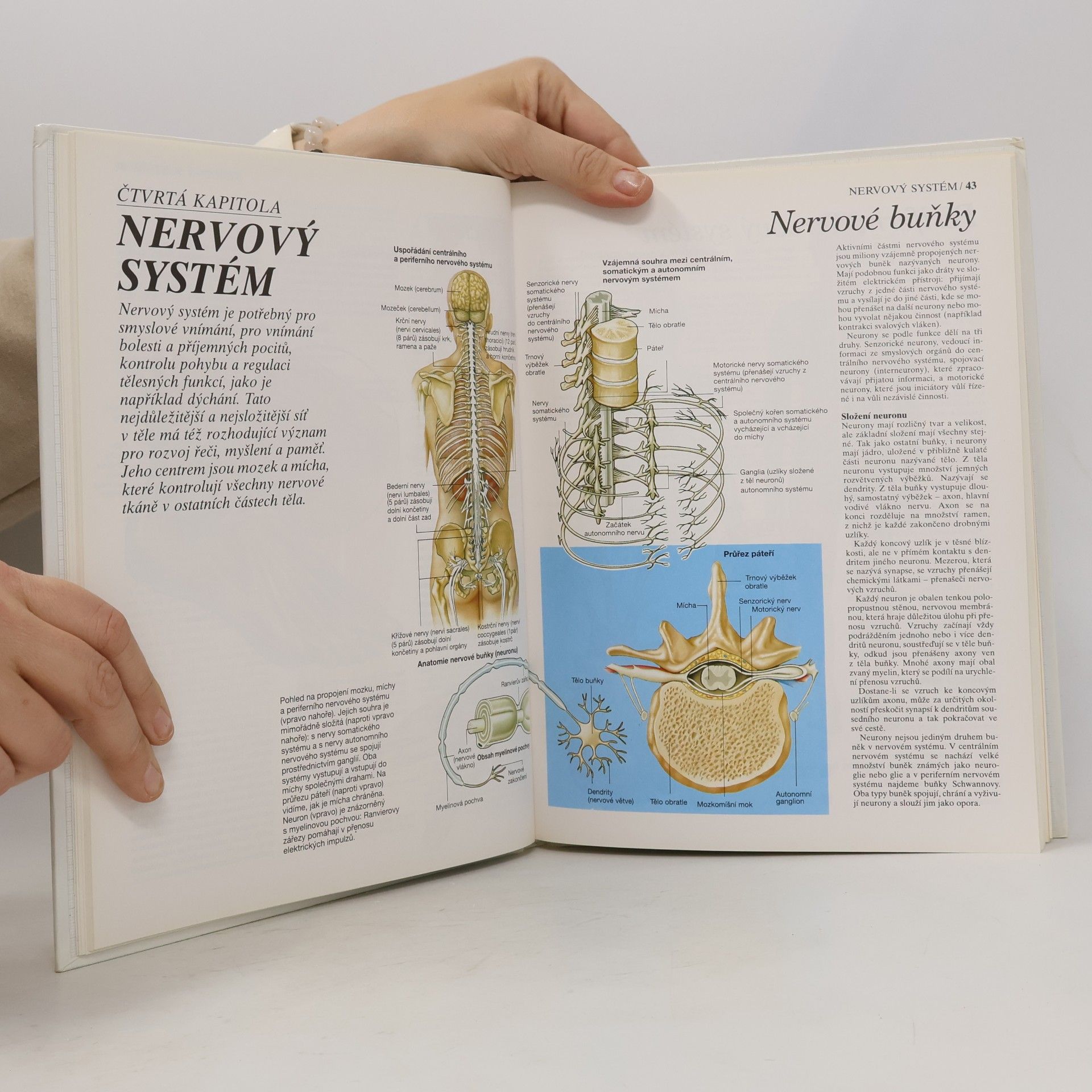 Trevor Weston Atlas lidského těla