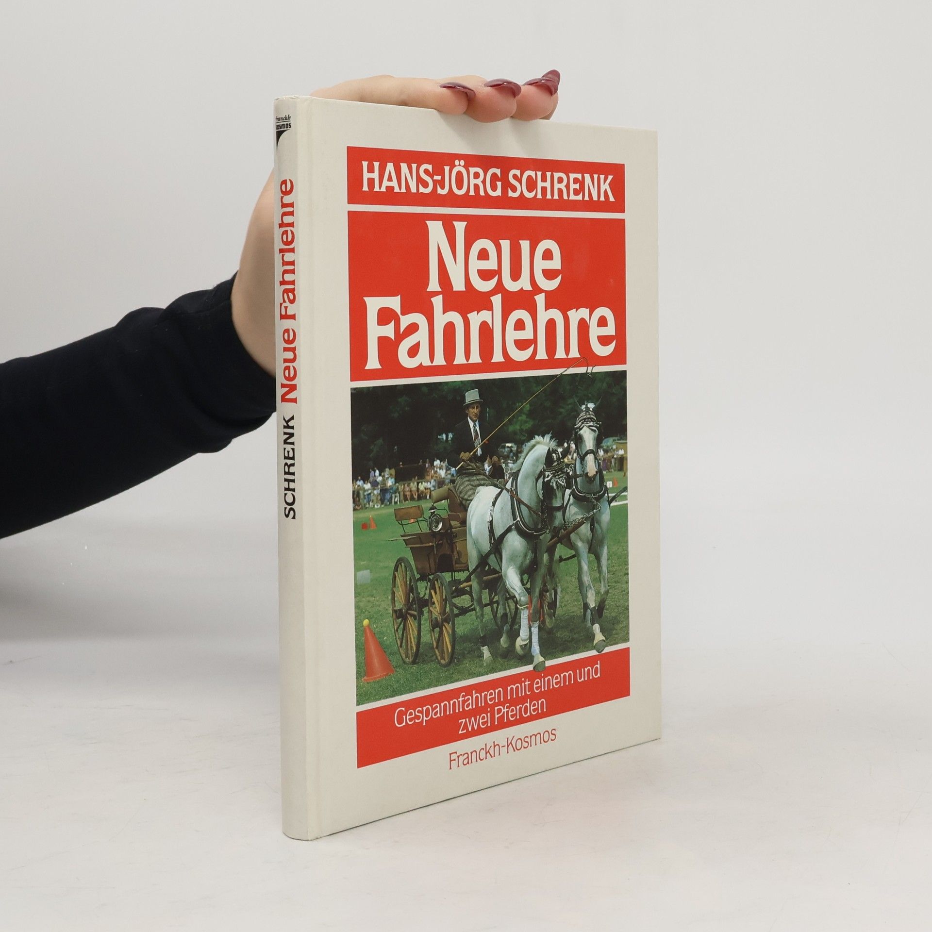 Neue Fahrlehre