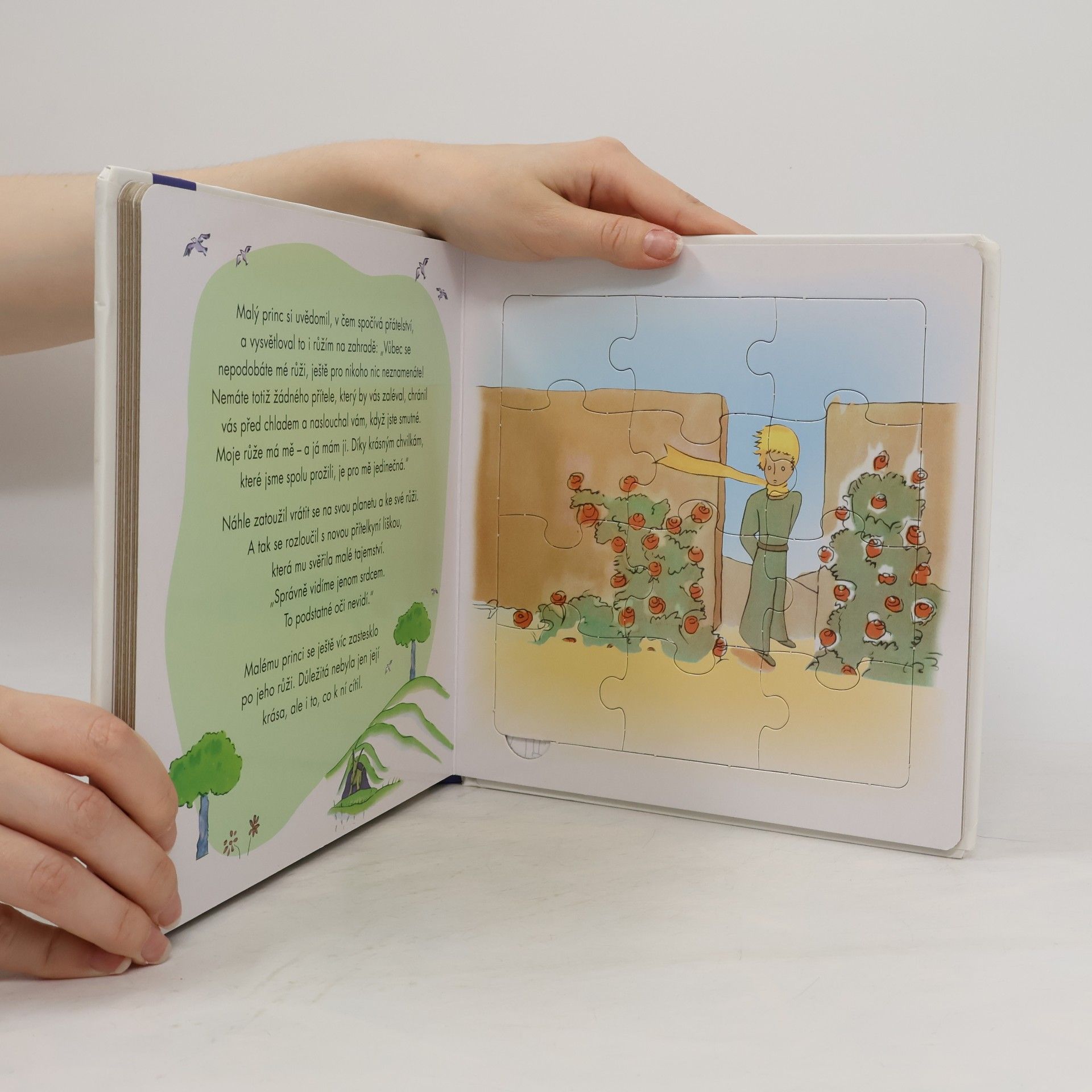 Florentine Specht Malý princ : knížka s puzzle