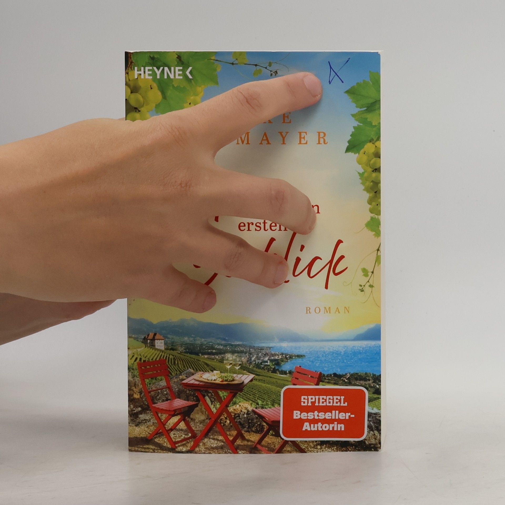 Silke Neumayer Liebe auf den ersten Seeblick