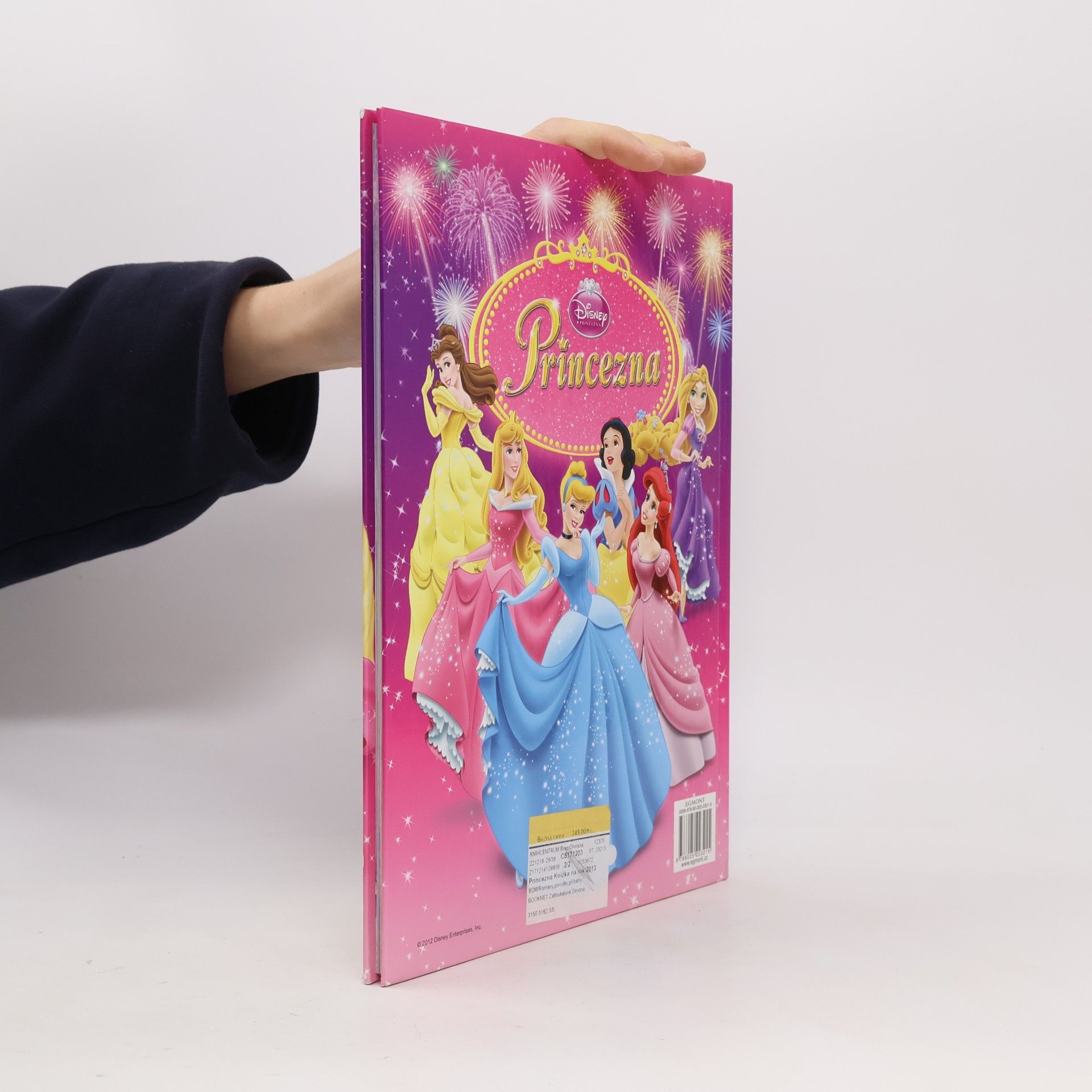 Walt Disney Princezny Knížka na rok 2013