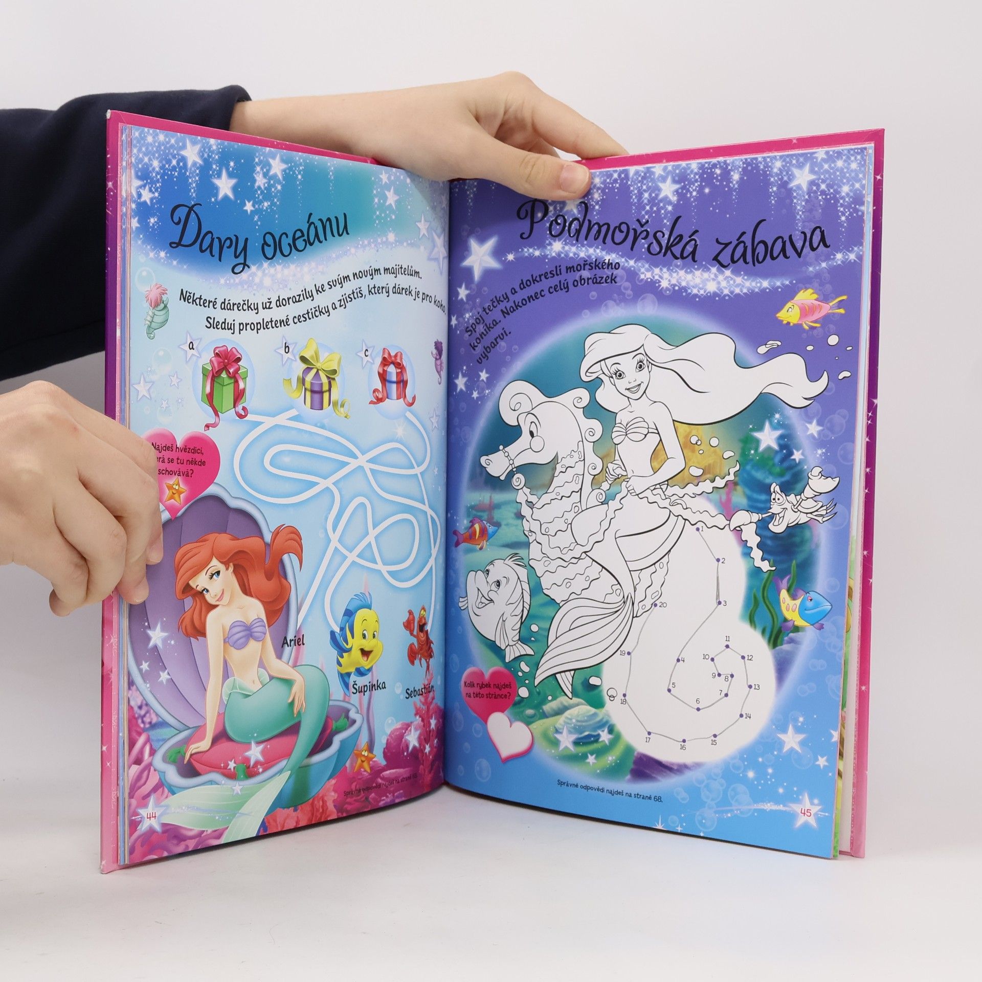 Walt Disney Princezny Knížka na rok 2013