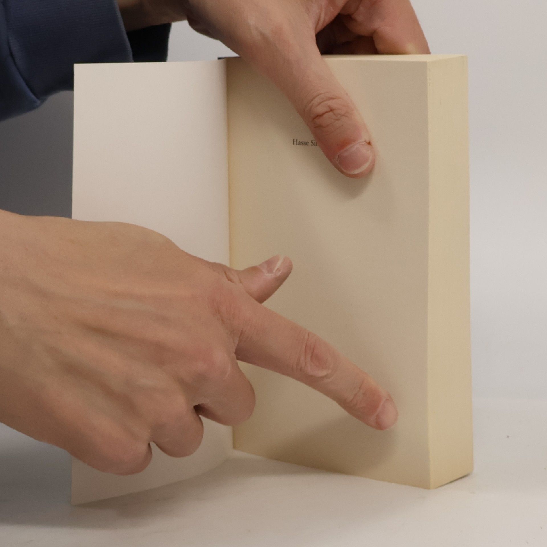 Thea Beckman Hasse Simonsdochter