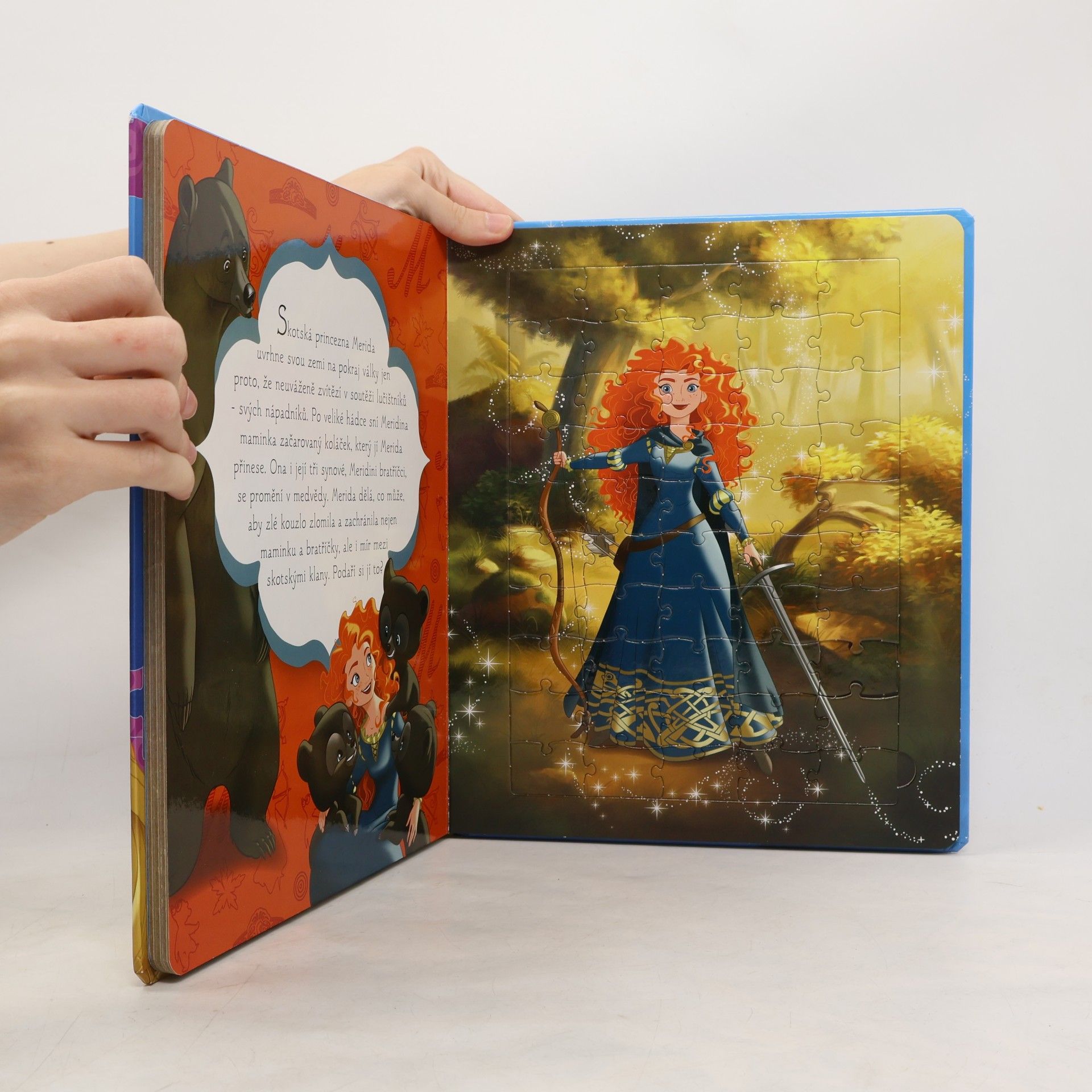Kolektiv autorů Disney princezna : velká kniha puzzle
