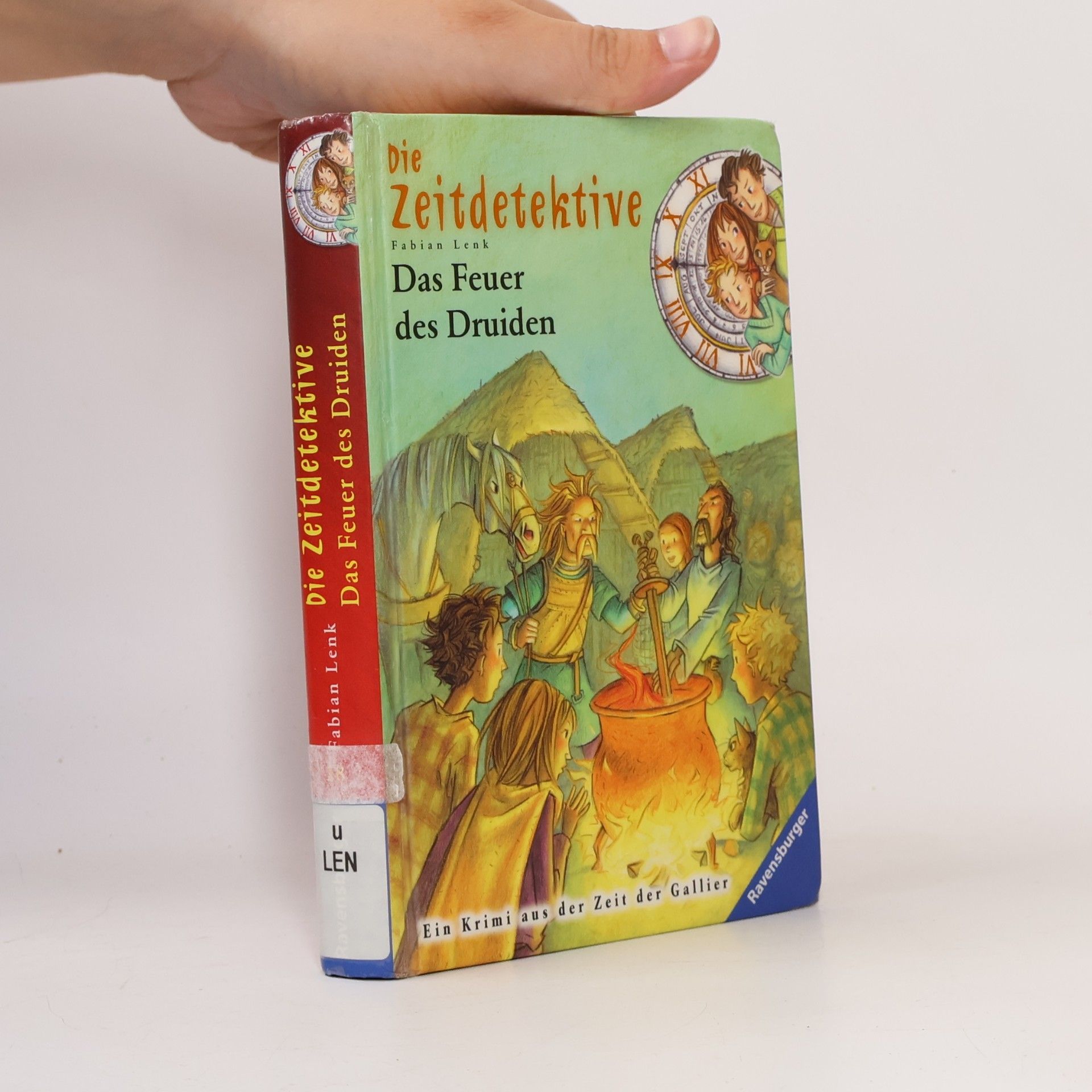 Die Zeitdetektive - Das Feuer des Druiden. Ein Krimi aus der Zeit der Gallier. Band 18
