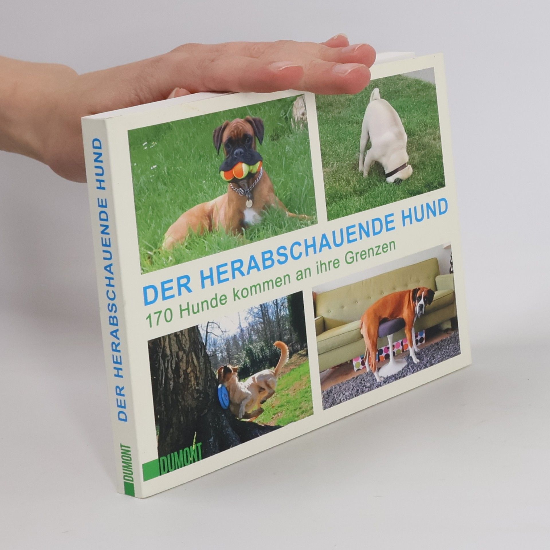 Autorenkollektiv Der herabschauende Hund