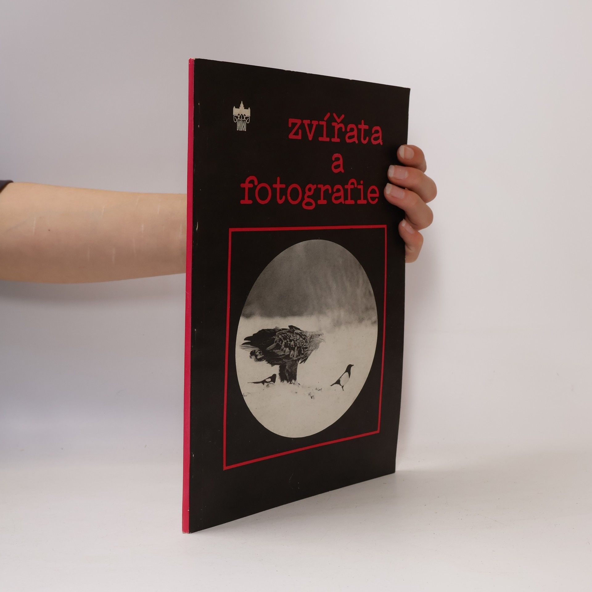 Ivan Heráň Zvířata a fotografie