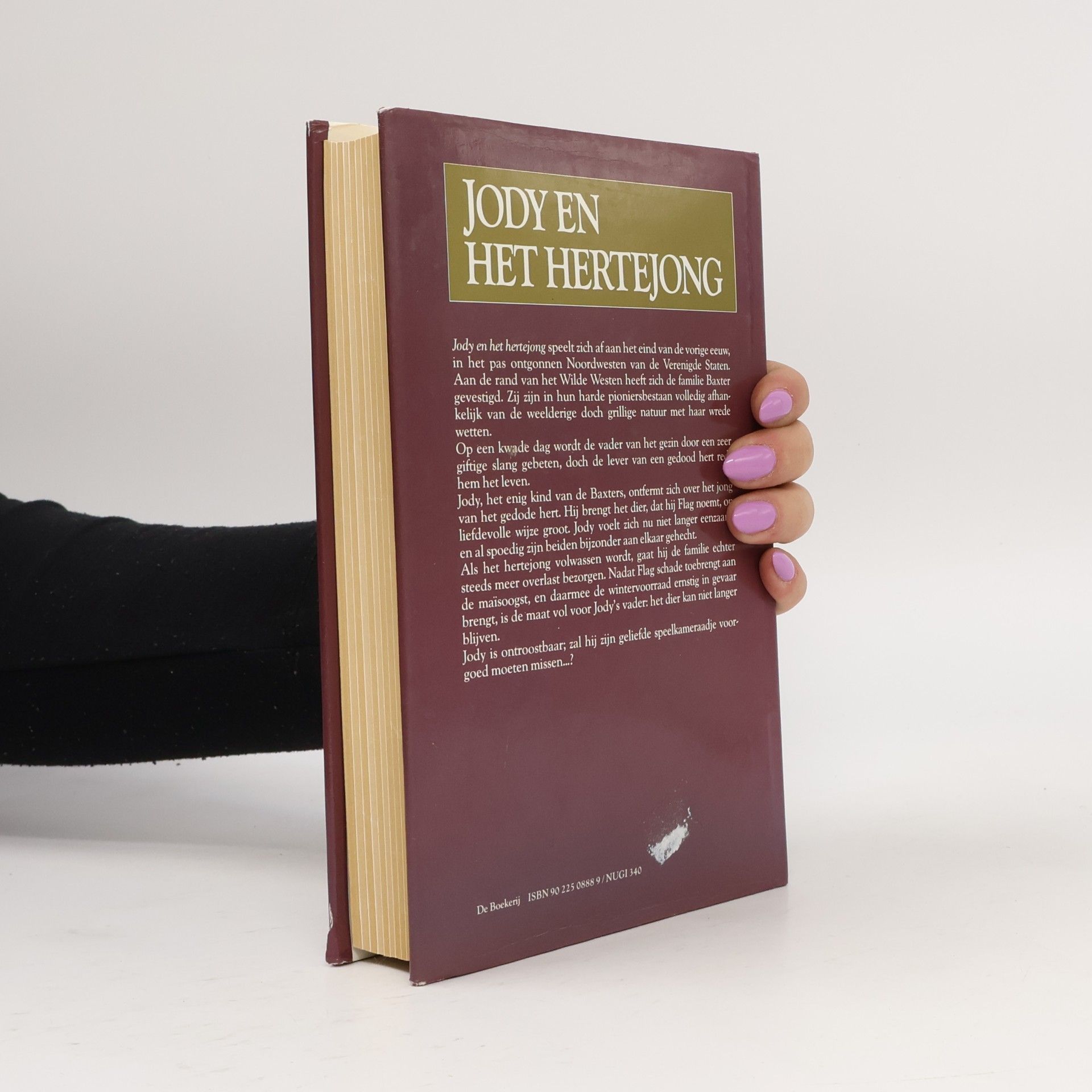 Marjorie Kinnan Rawlings Jody en het Hertejong