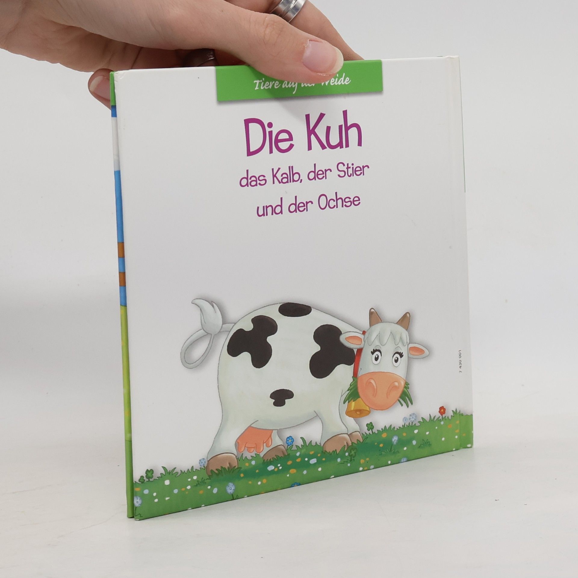 Autorenkollektiv Die Kuh