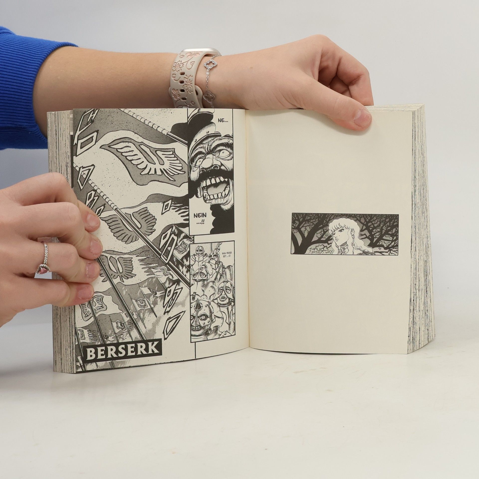 Kentaro Miura Berserk Max 4 Band