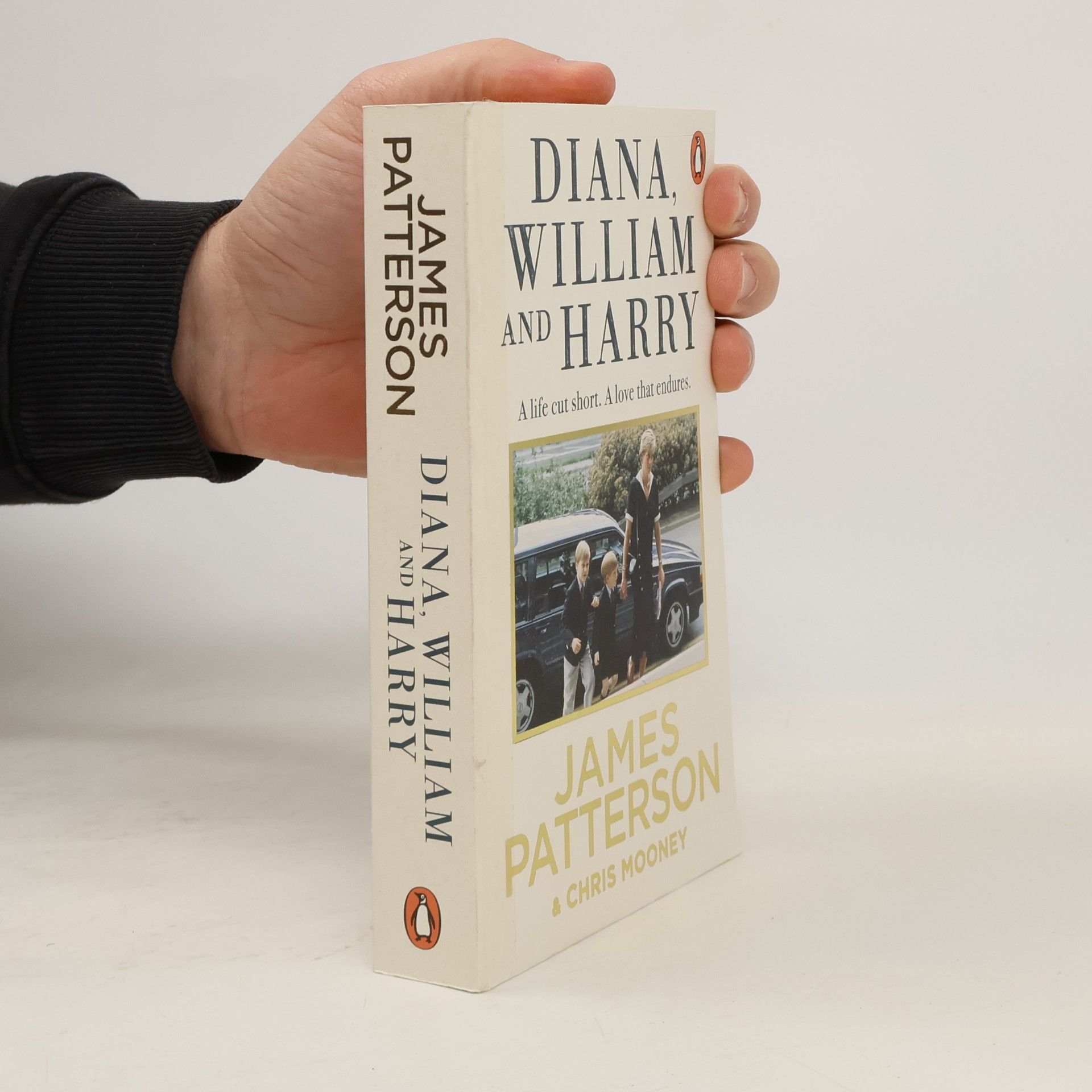 James Patterson Diana, William and Harry