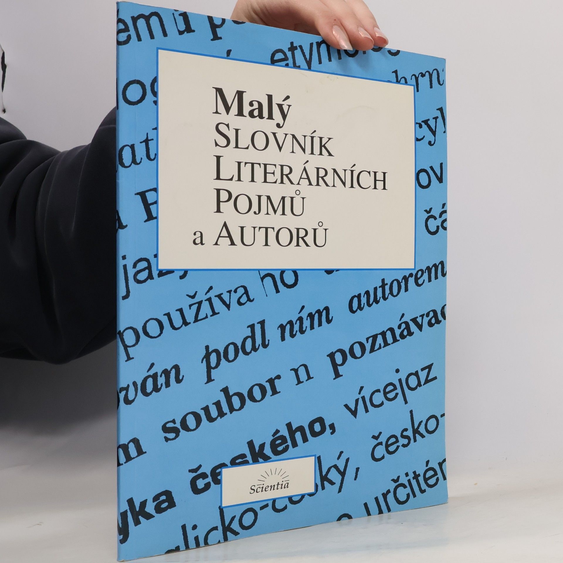 Malý slovník literárních pojmů a autorů