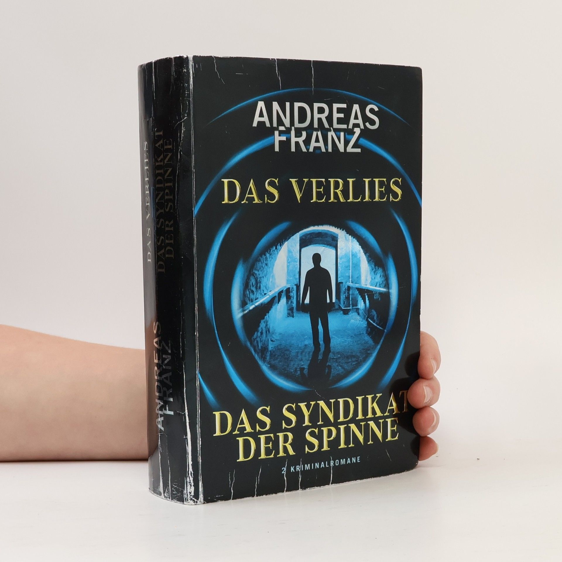 Das Verlies. Das Syndikat der Spinne