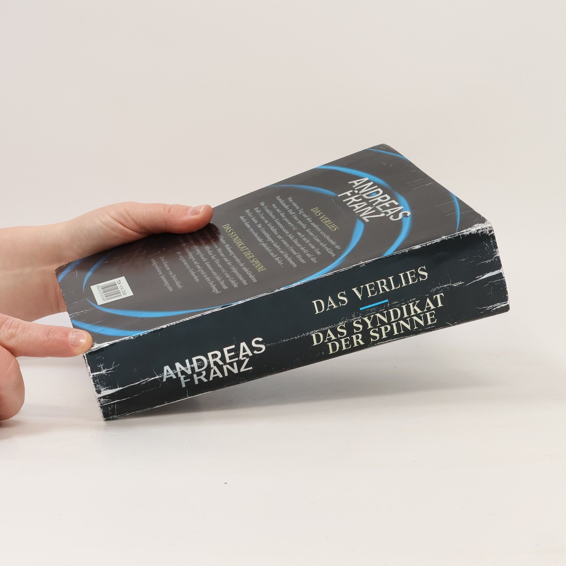 Andreas Franz Das Verlies. Das Syndikat der Spinne