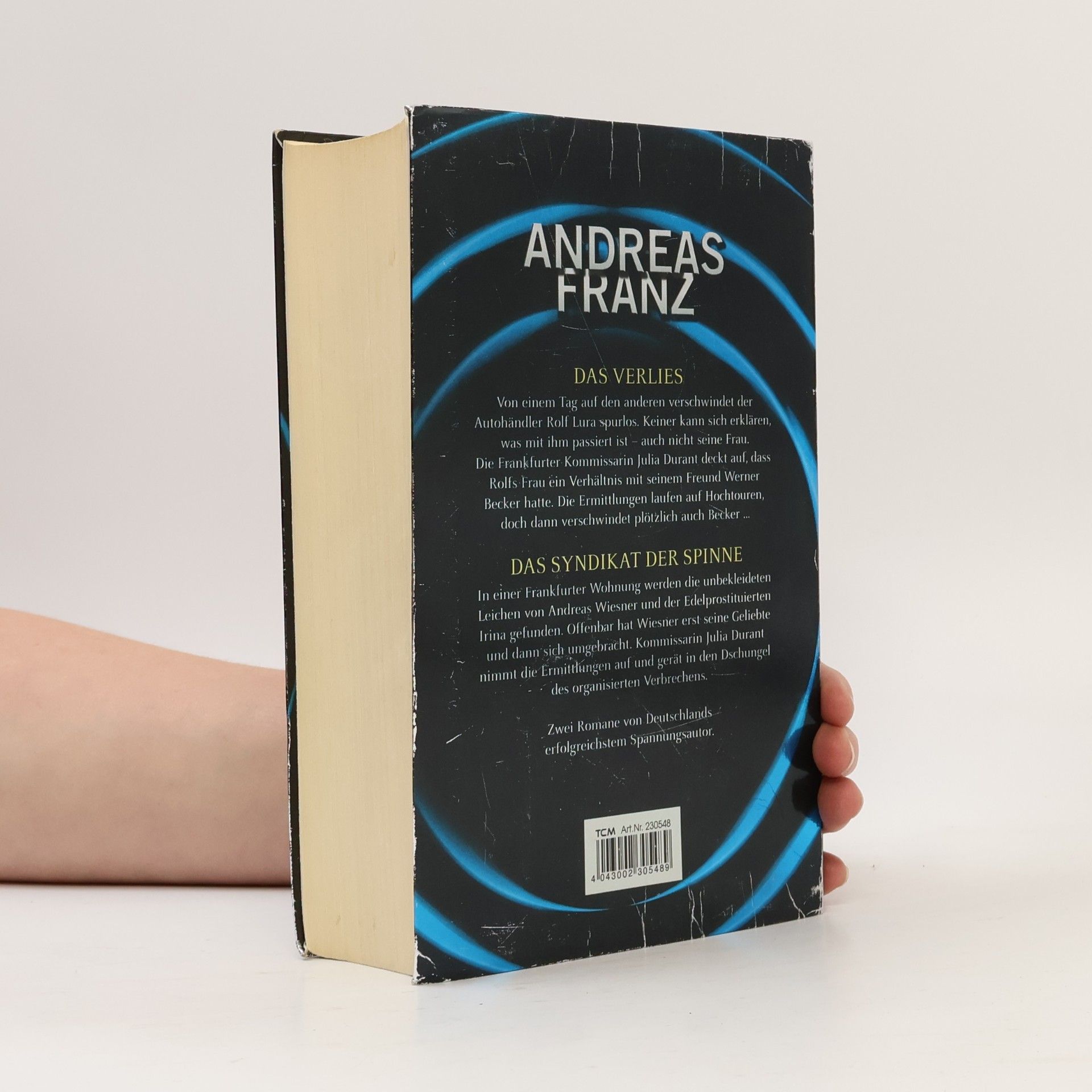 Andreas Franz Das Verlies. Das Syndikat der Spinne