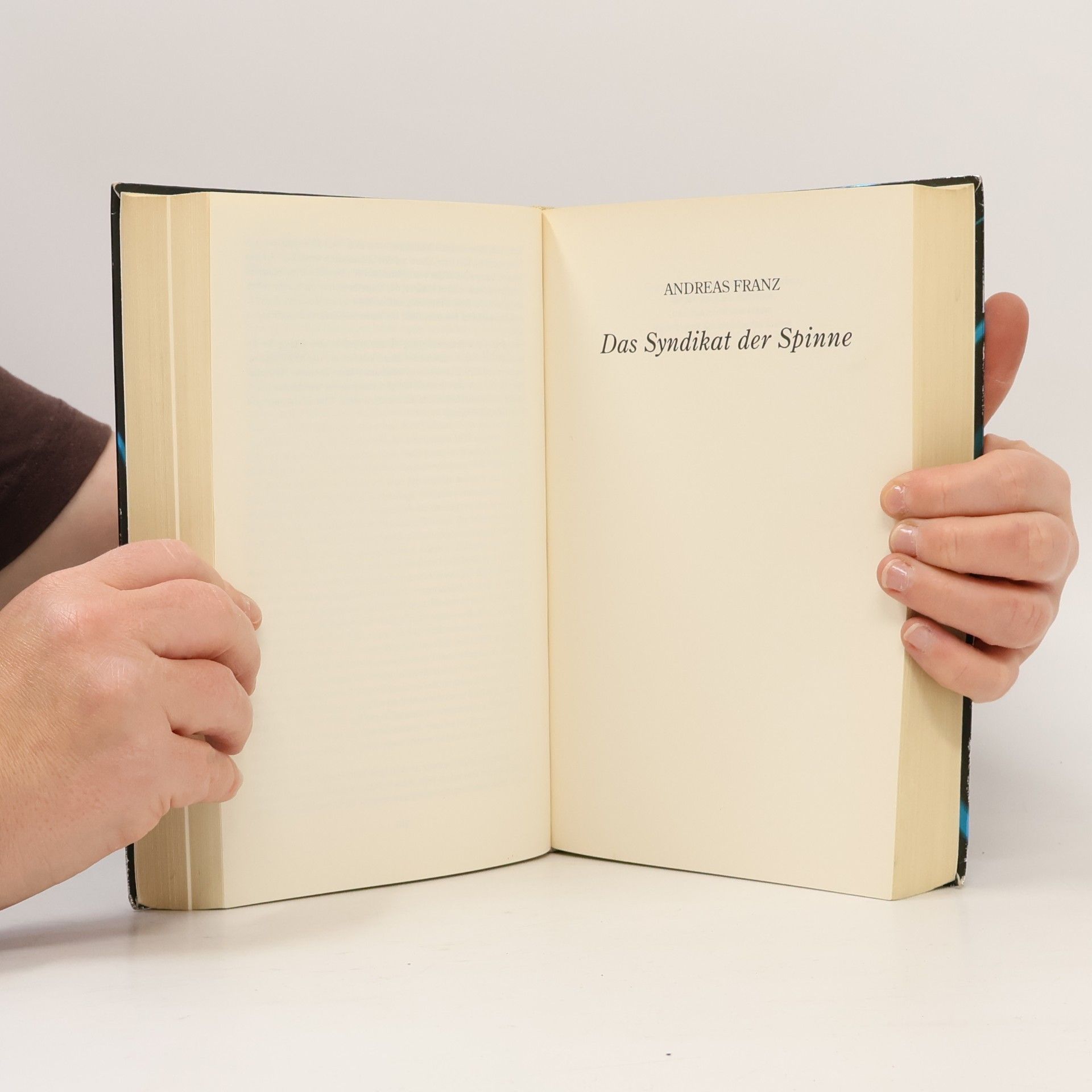 Andreas Franz Das Verlies. Das Syndikat der Spinne