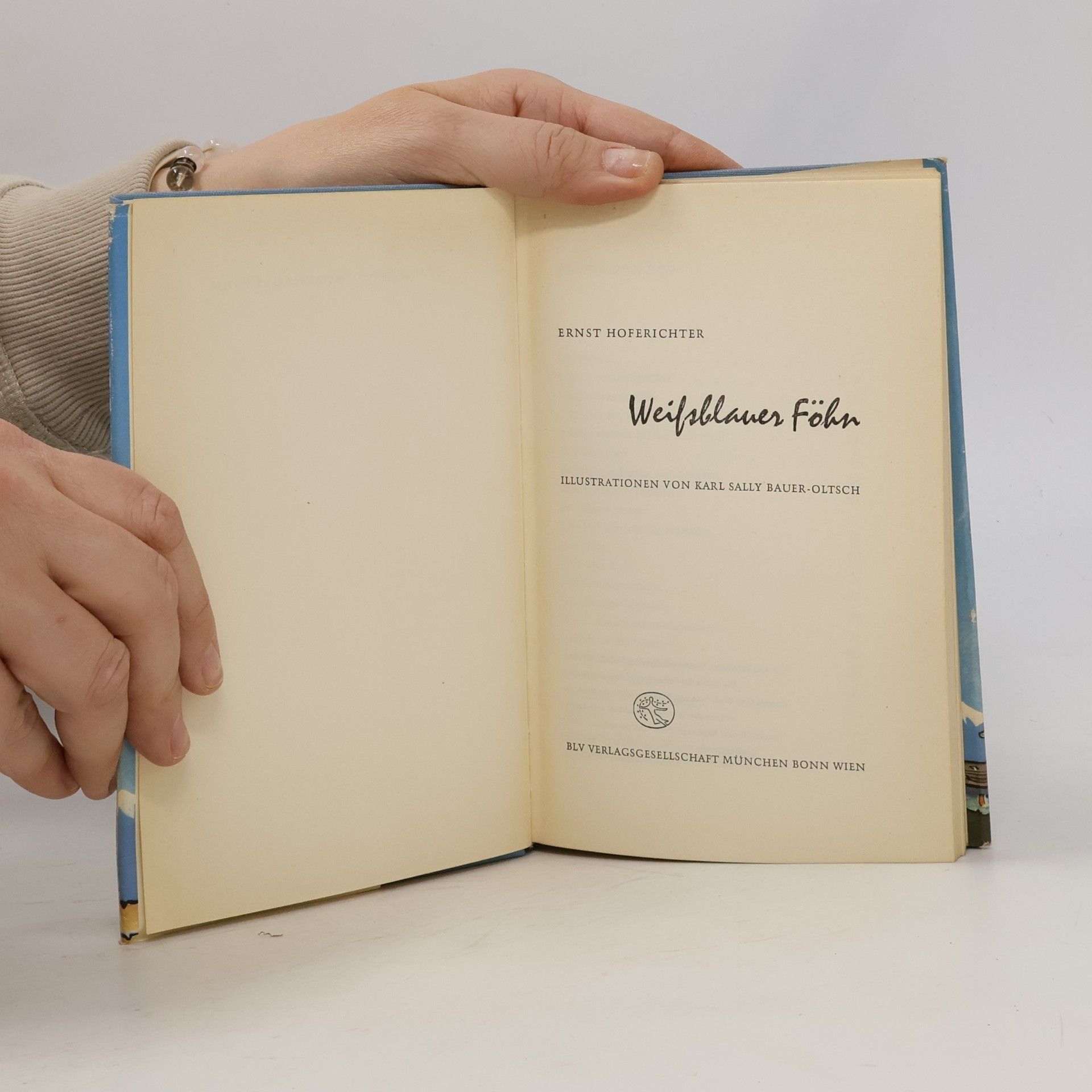 Ernst Hoferichter Weiß-blauer Föhn