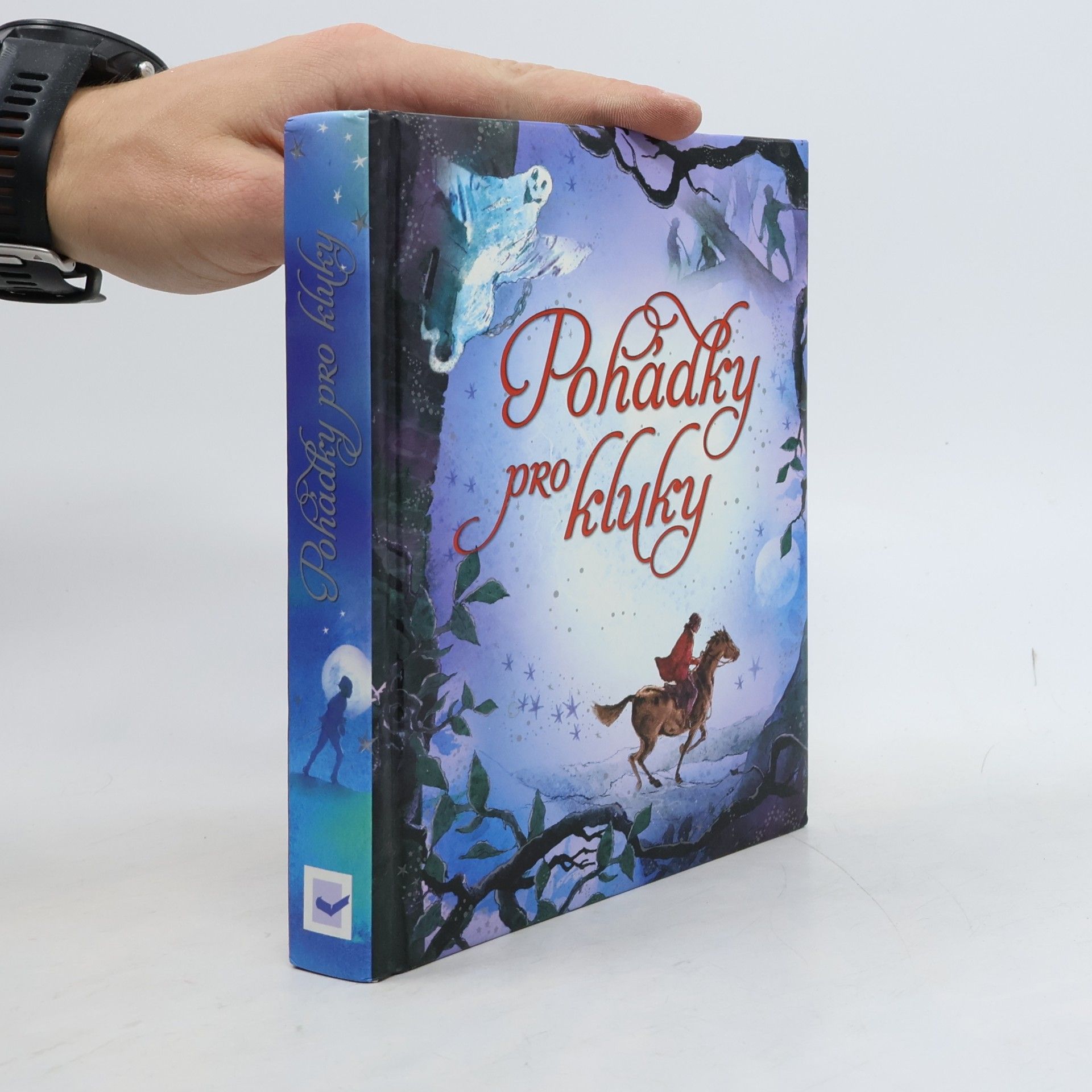 Kolektiv autorů Pohádky pro kluky