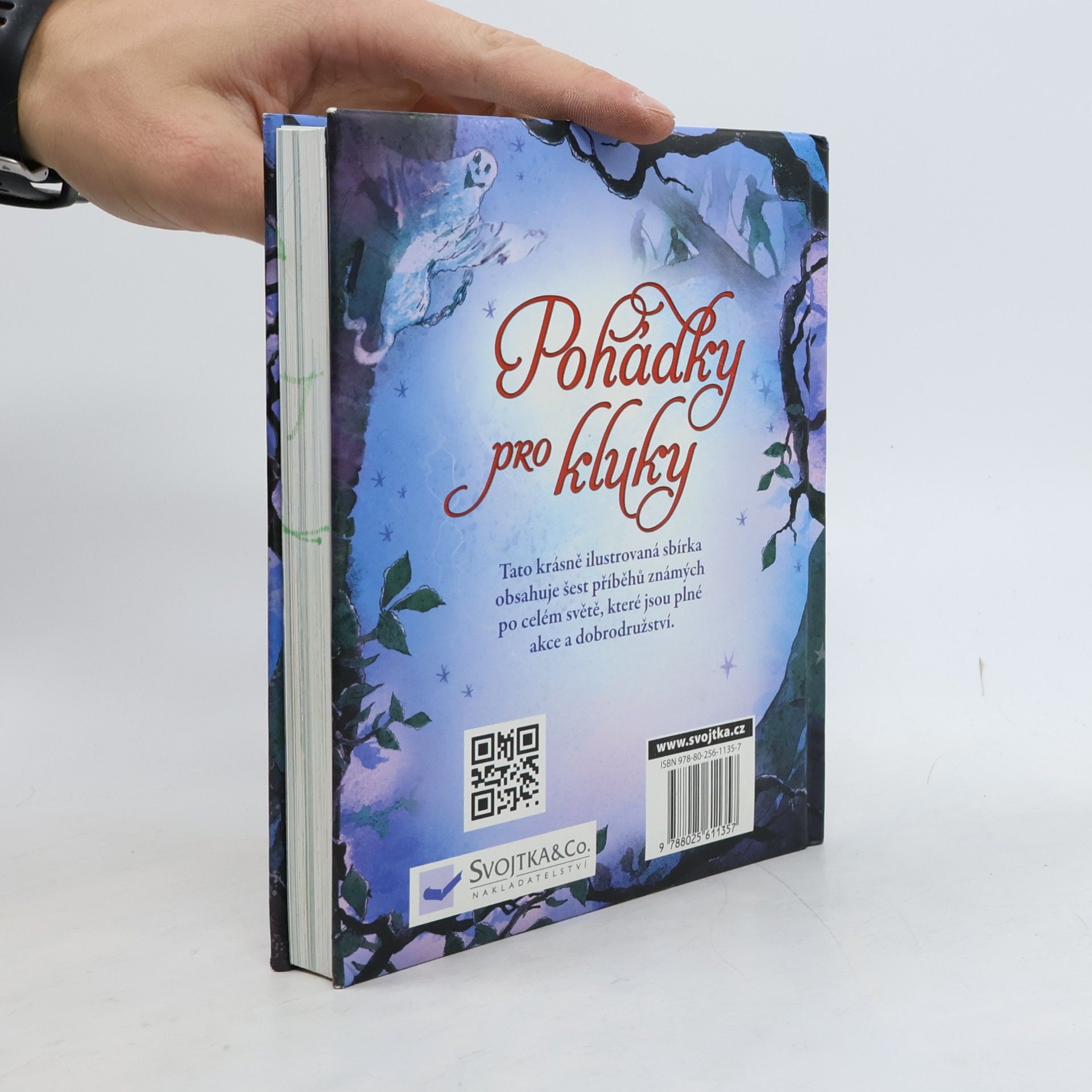 Kolektiv autorů Pohádky pro kluky