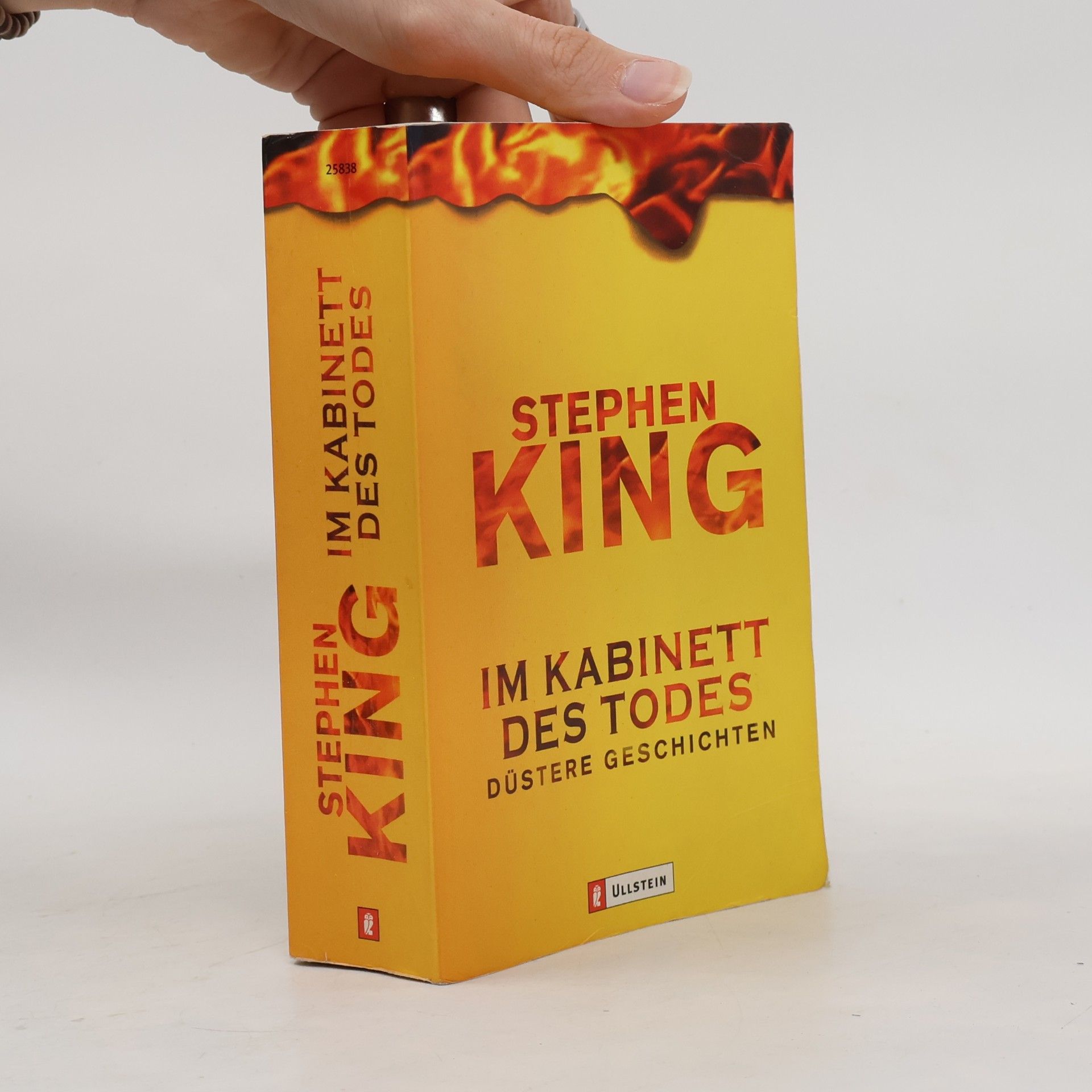 Stephen King Im Kabinett des Todes