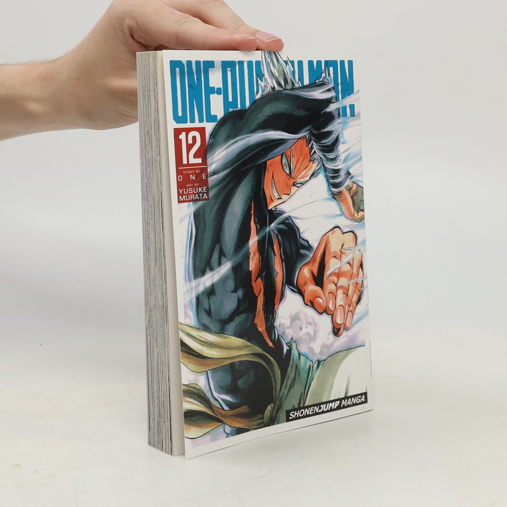 One-Punch Man, Vol. 12