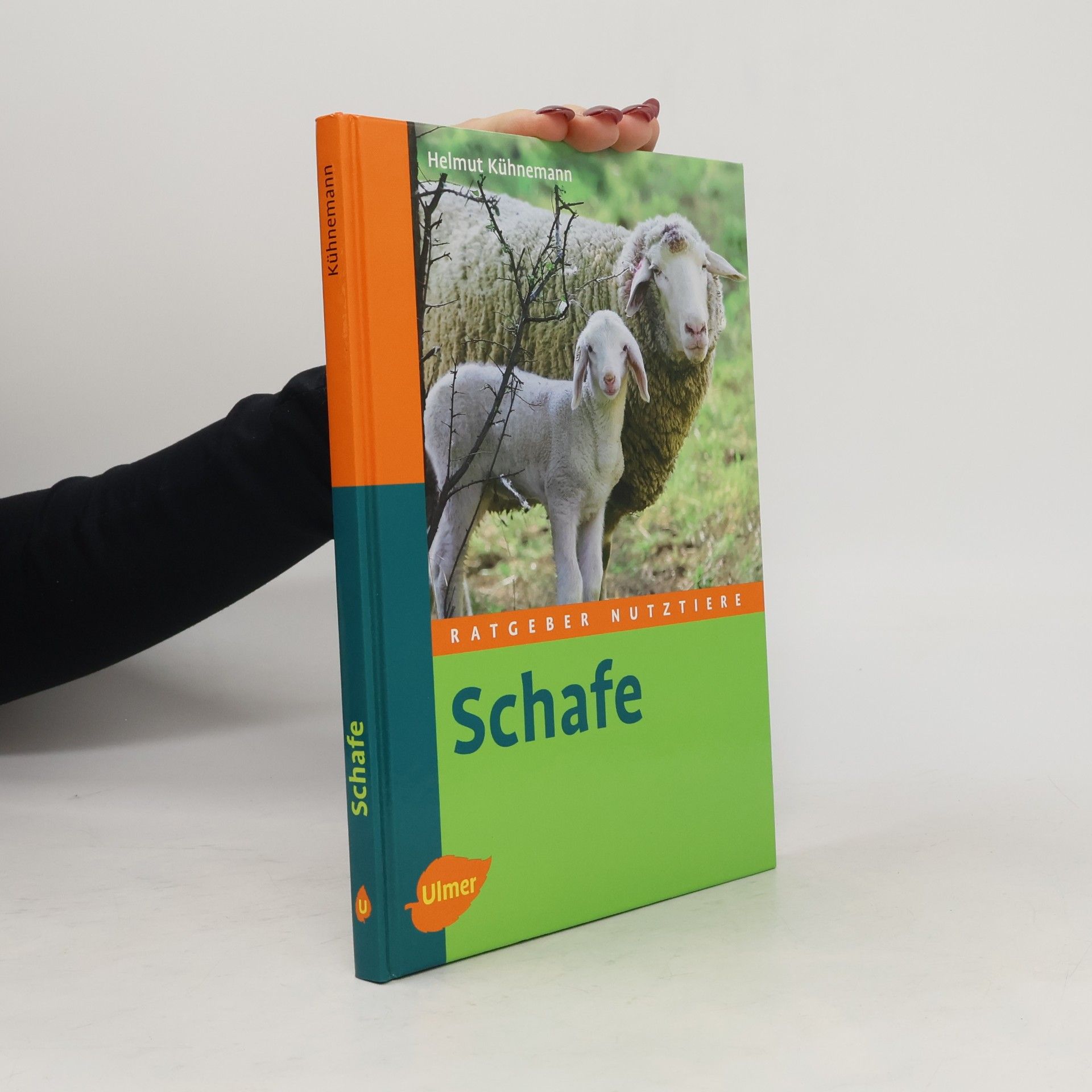 Schafe