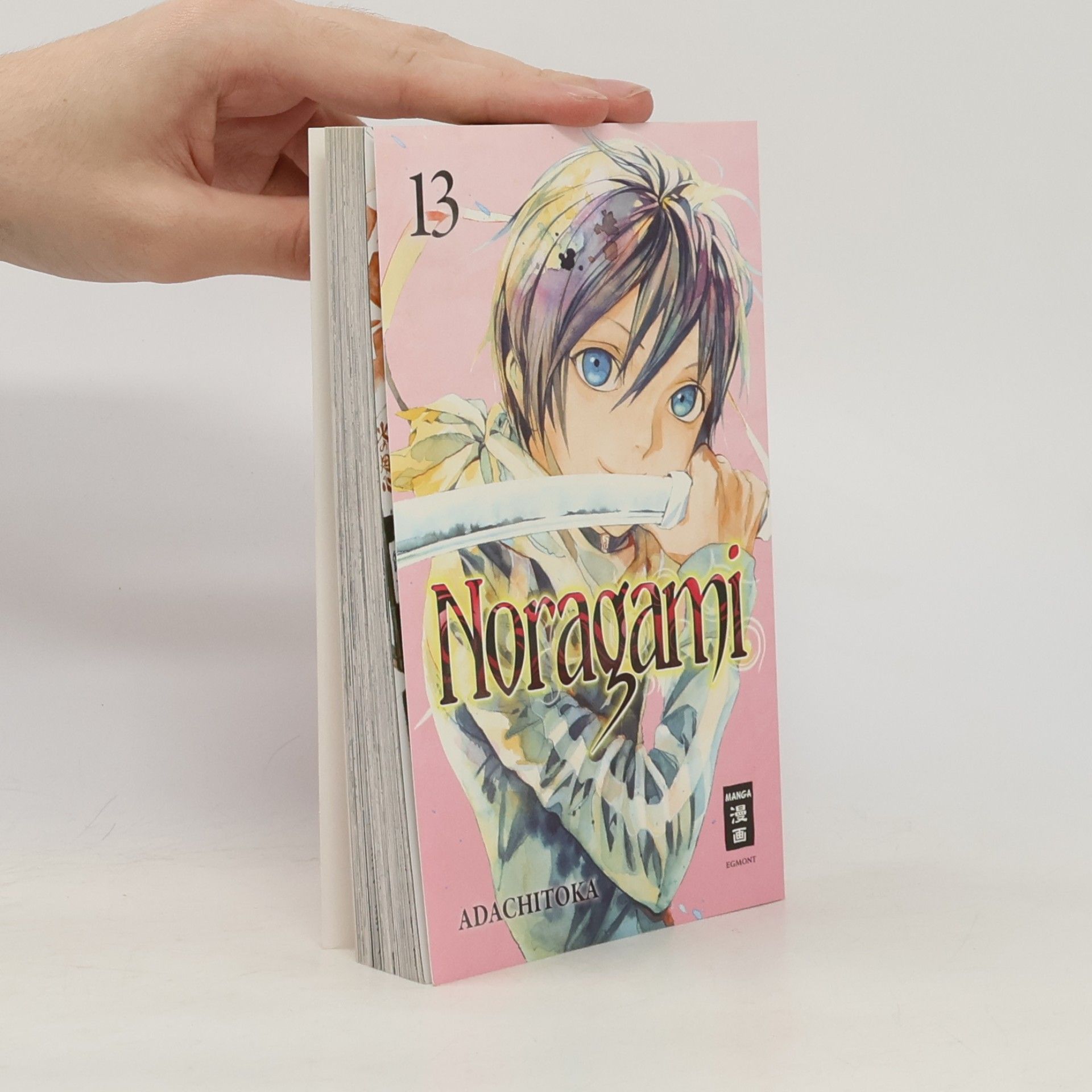 Noragami. Bd.13