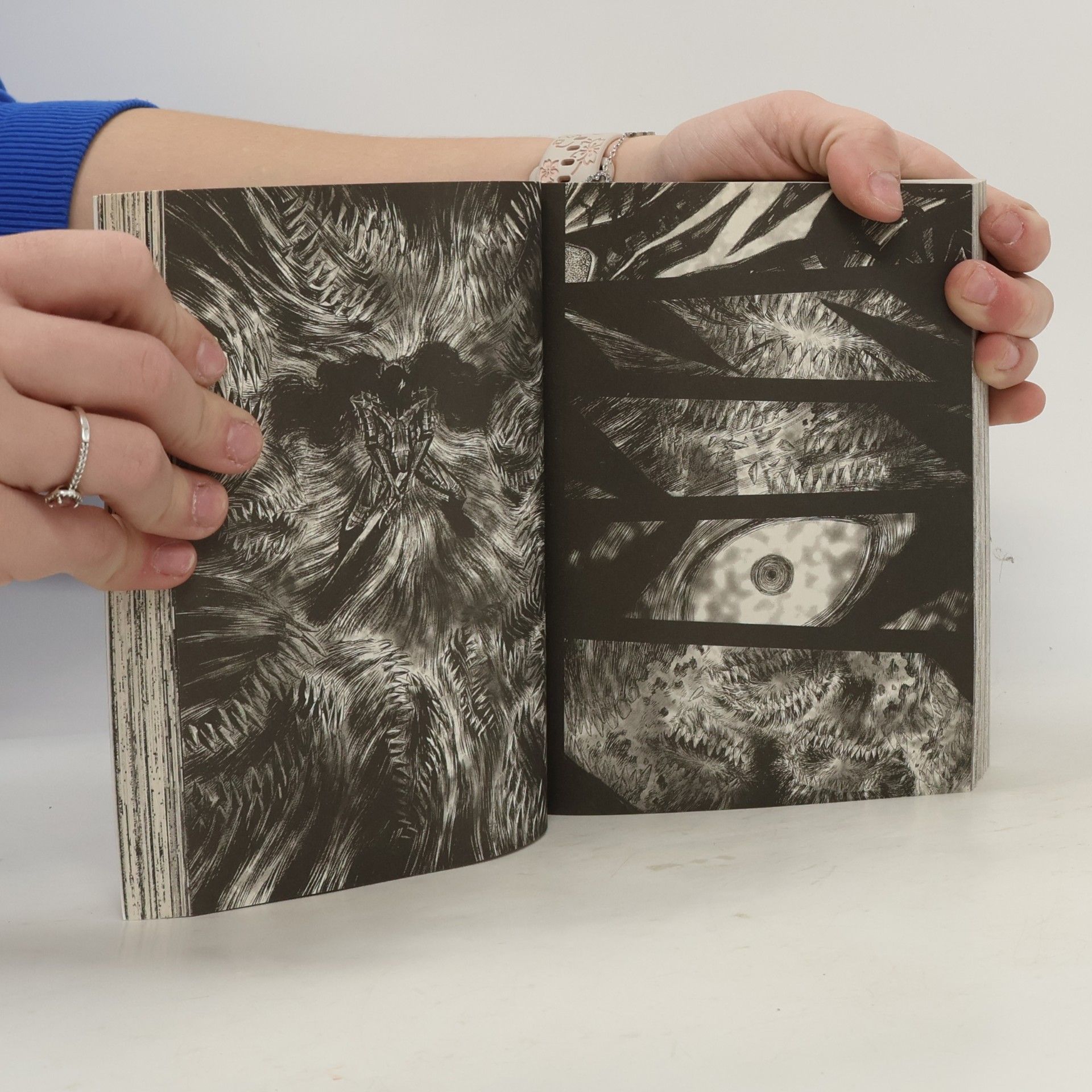 Kentaro Miura Berserk Max. Bd.14