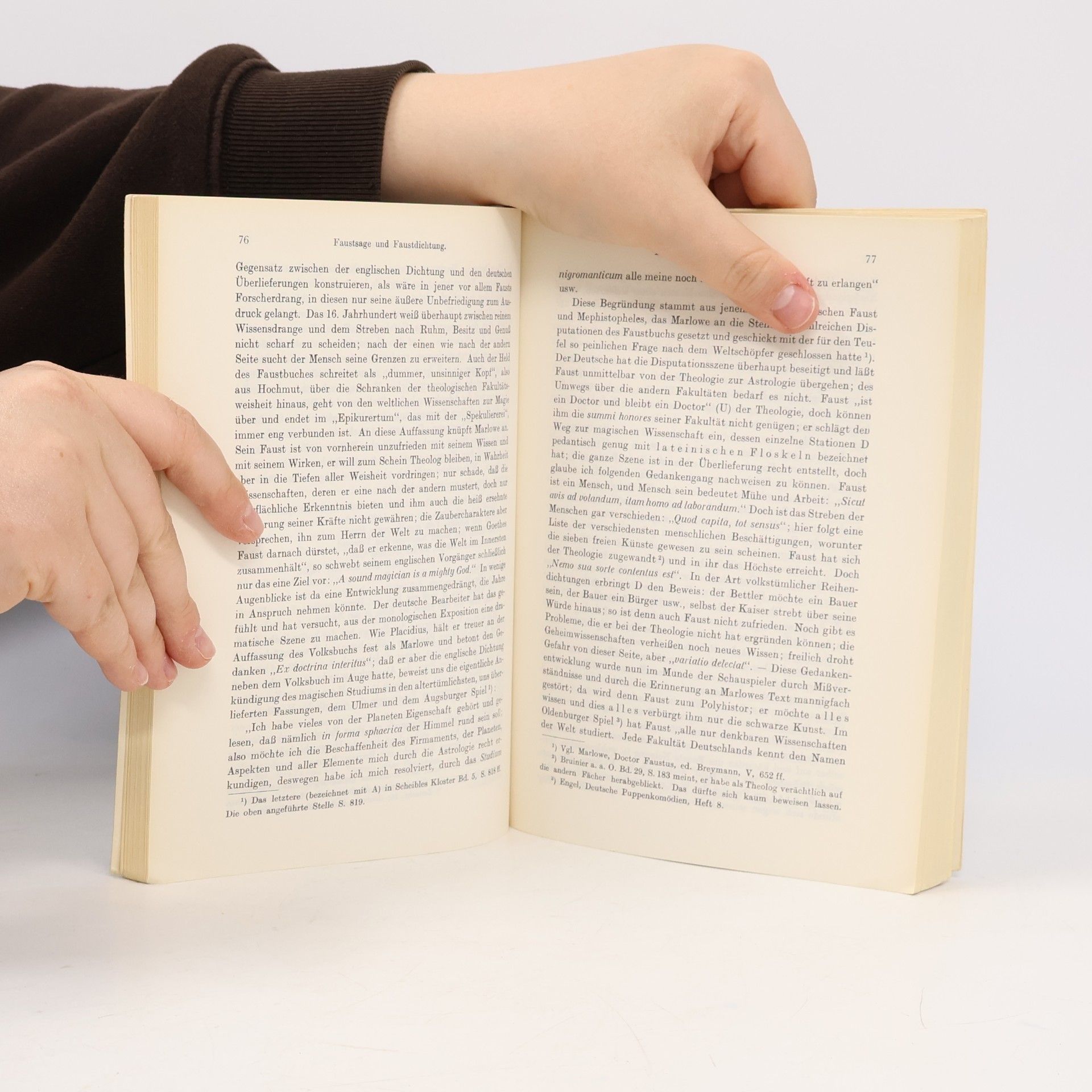 Robert Petsch Faustsage und Faustdichtung
