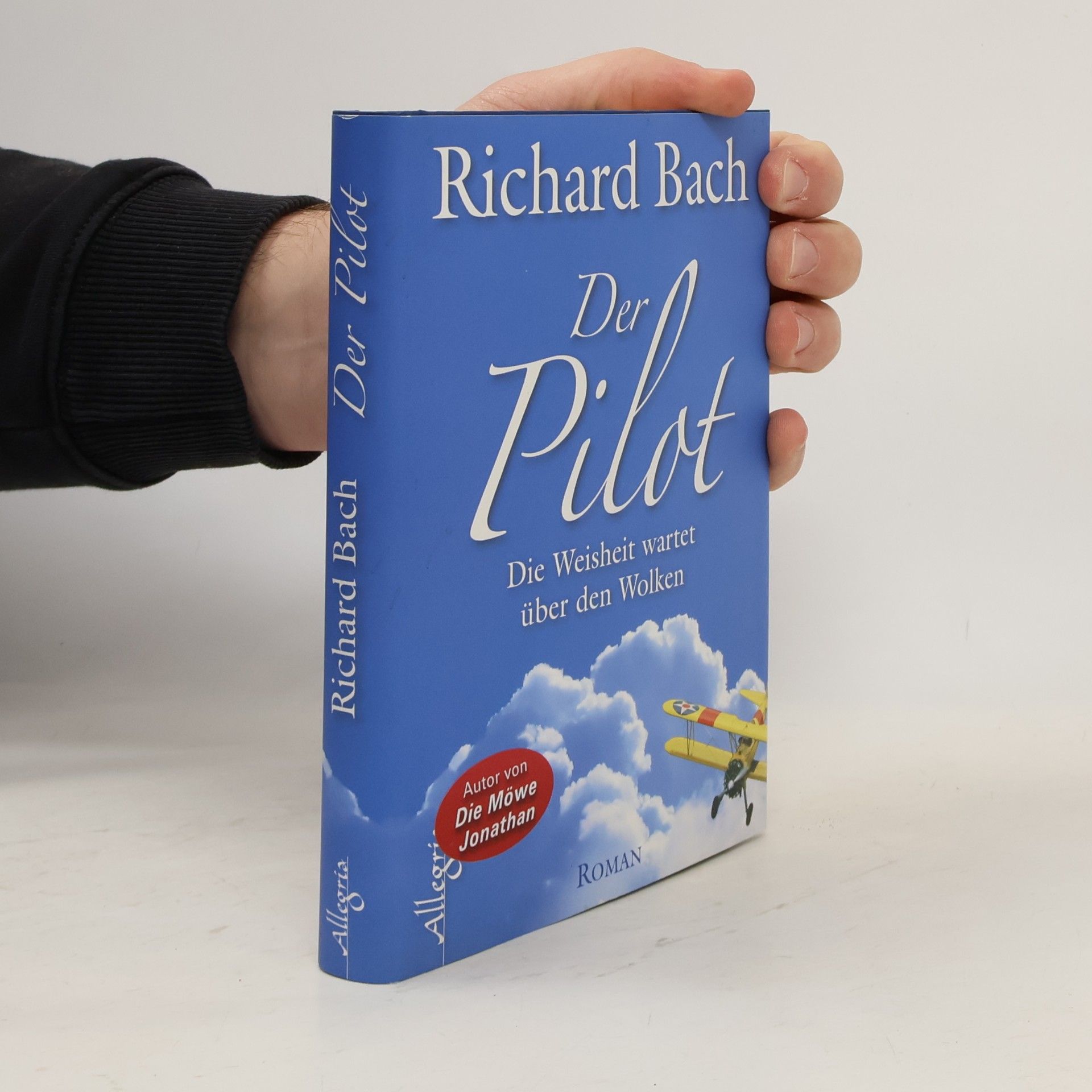 Der Pilot