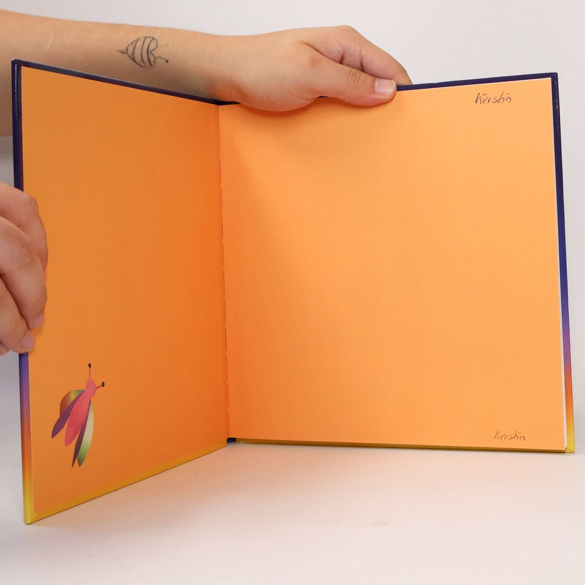 Autorenkollektiv Lichter & Laternen