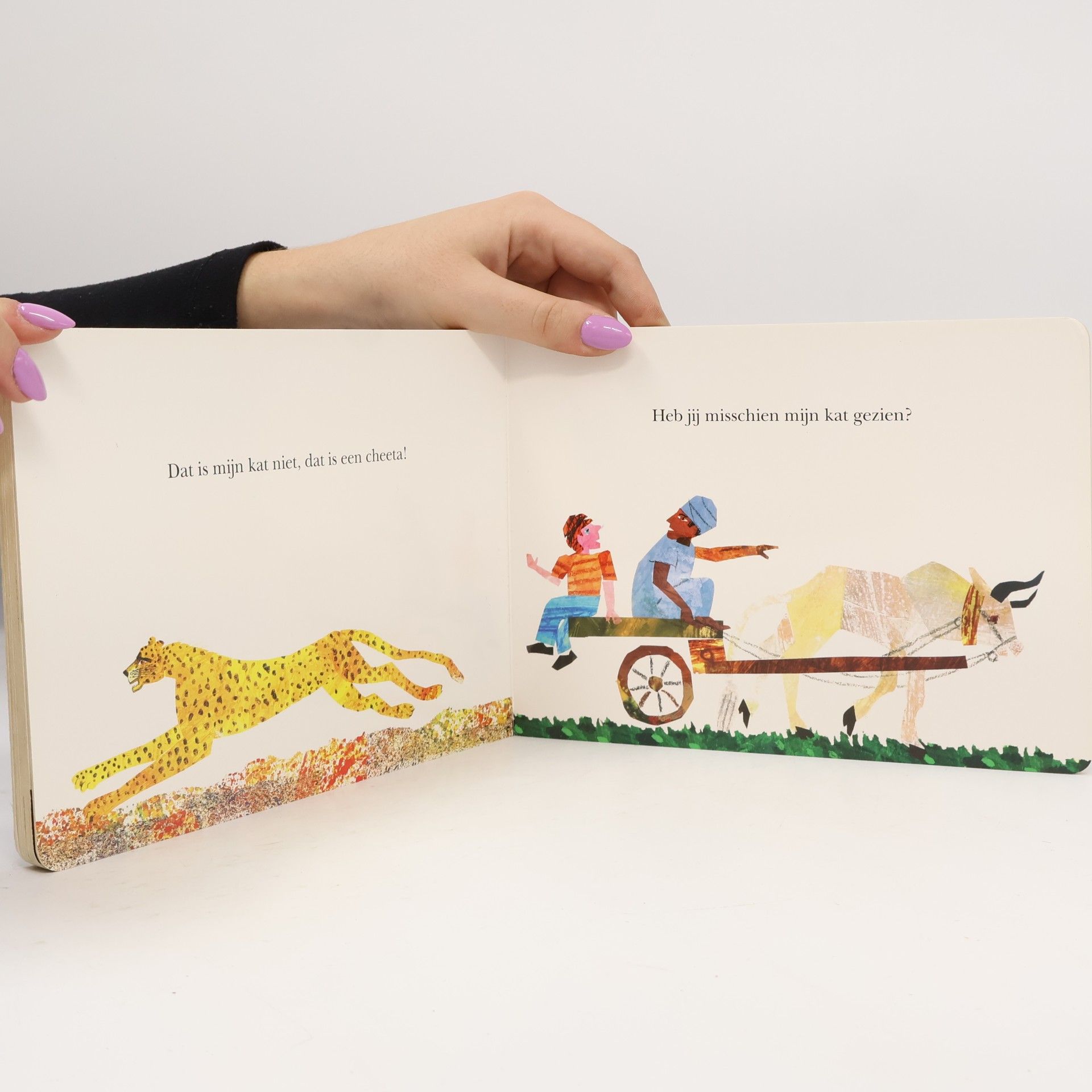 Eric Carle Heb jij misschien mijn kat gezien?