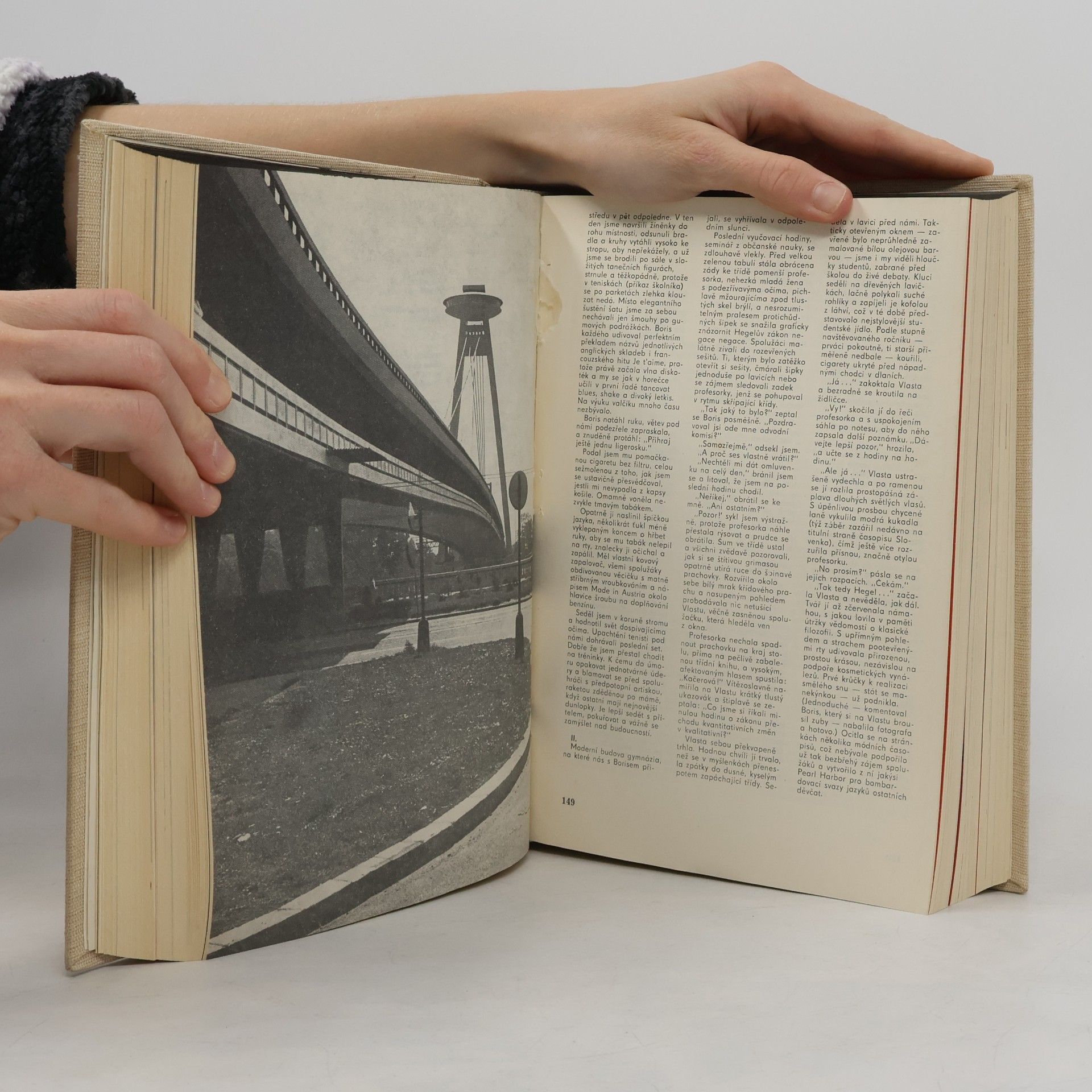 Autorenkollektiv Literární měsíčník 1981 II.