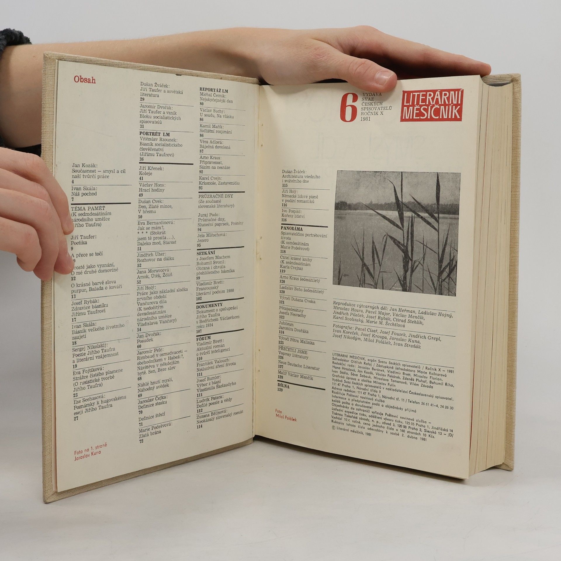 Autorenkollektiv Literární měsíčník 1981 II.