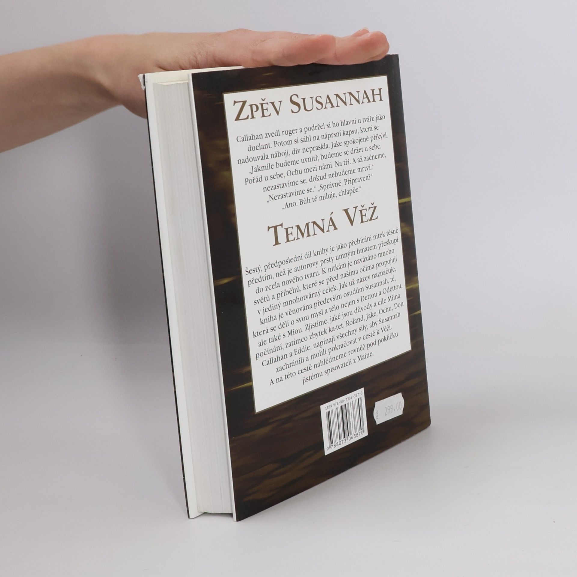 Stephen King Temná věž: Zpěv Susannah