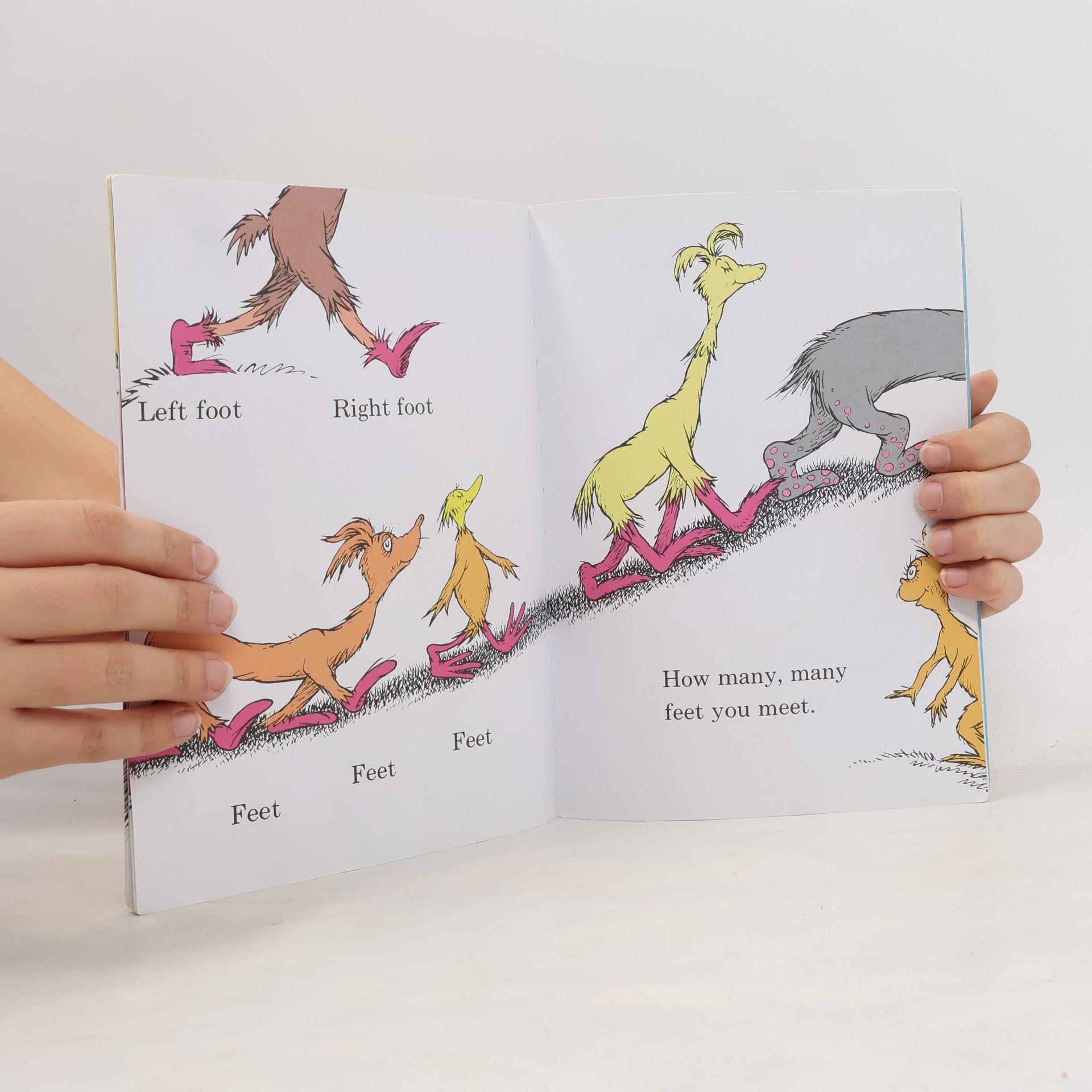 Dr. Seuss The Foot Book - 50th Birthday Edition