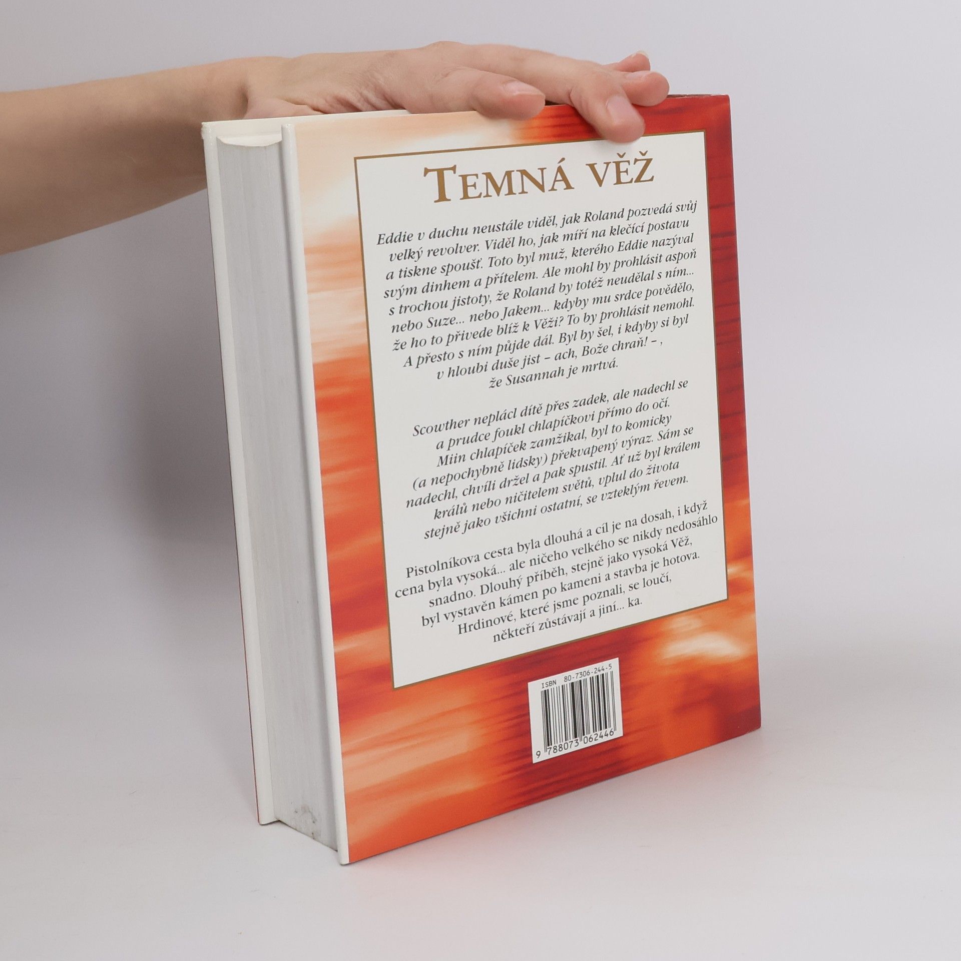 Stephen King Temná věž VII.