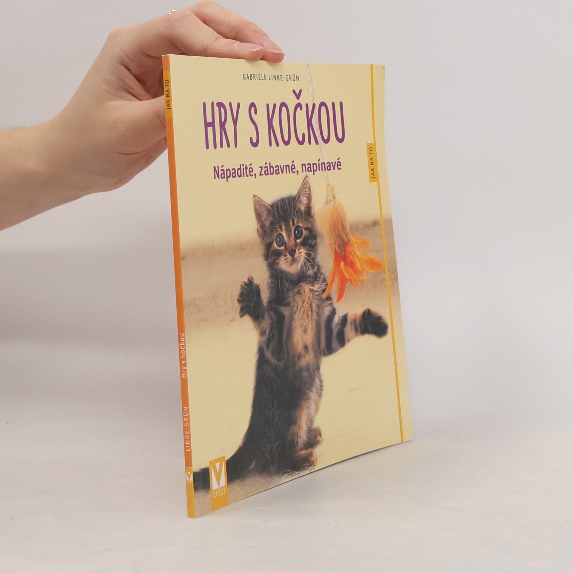 Hry s kočkou