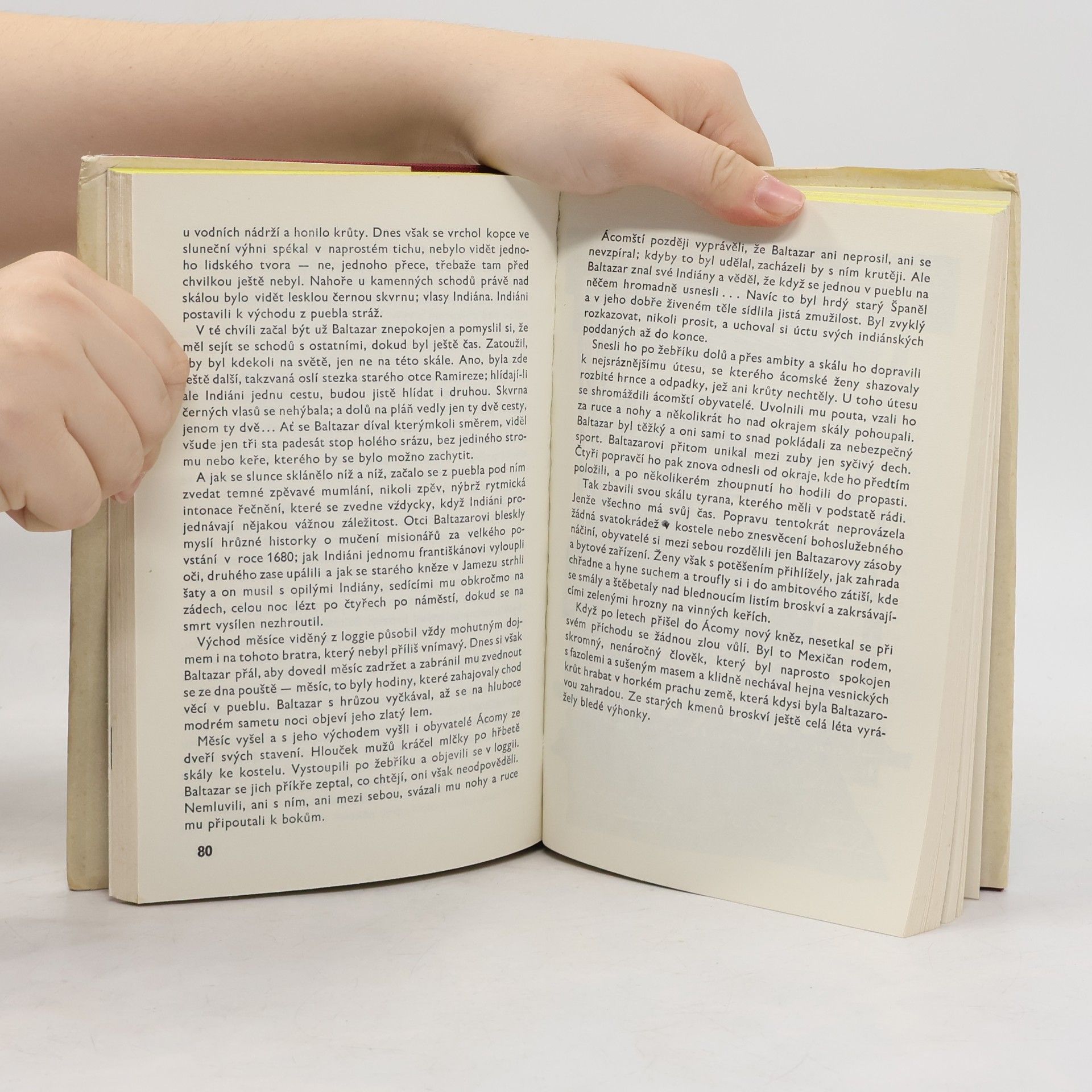 Willa Sibert Cather Smrt si jde pro arcibiskupa