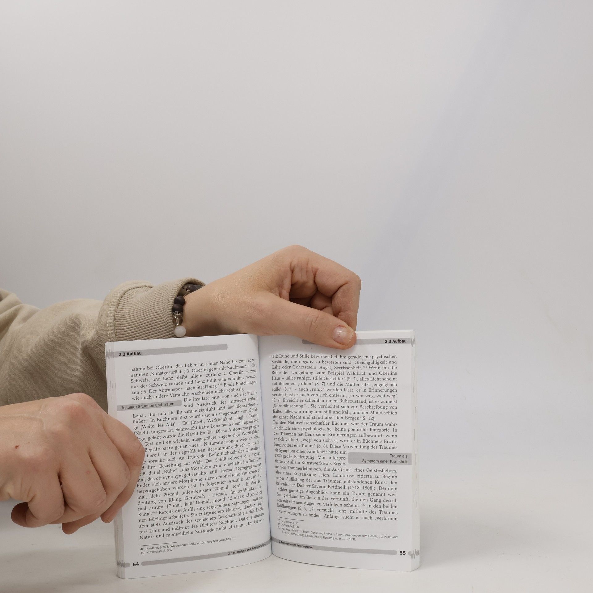 Rüdiger Bernhardt Erläuterungen zu Georg Büchner, Lenz