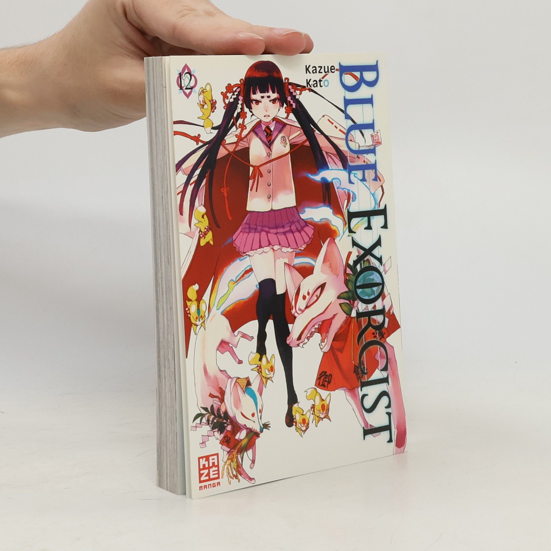Blue Exorcist 12