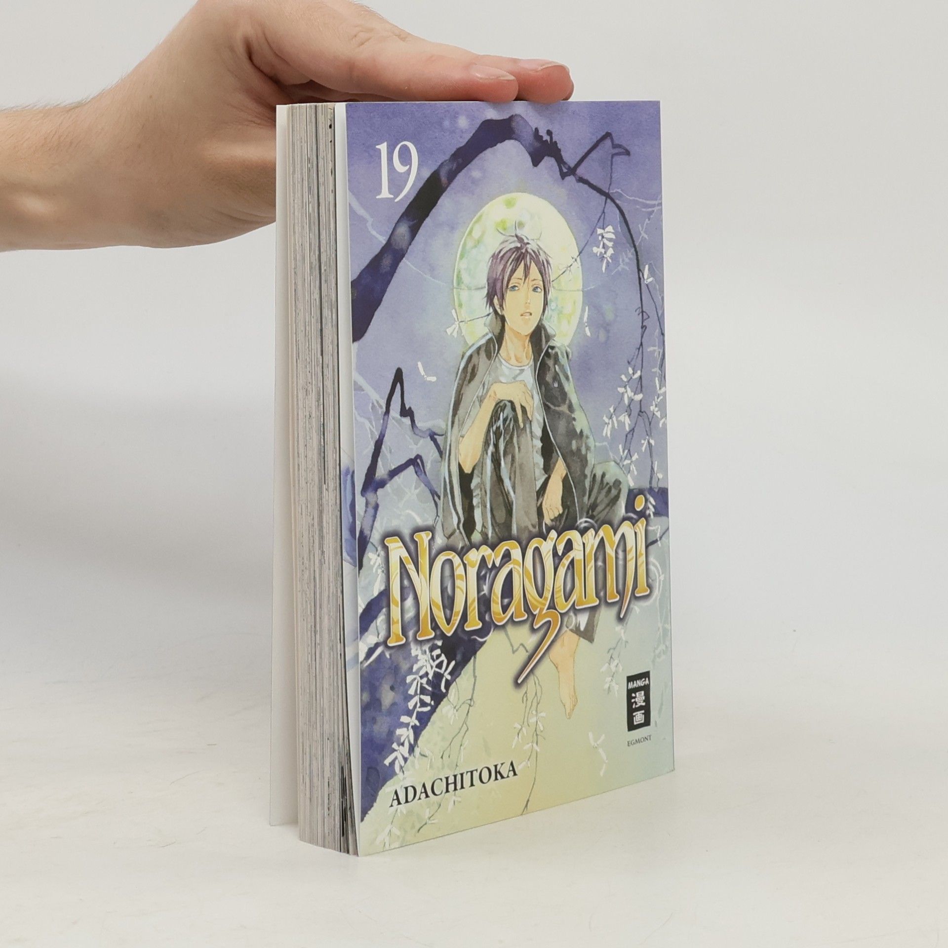 Noragami 19
