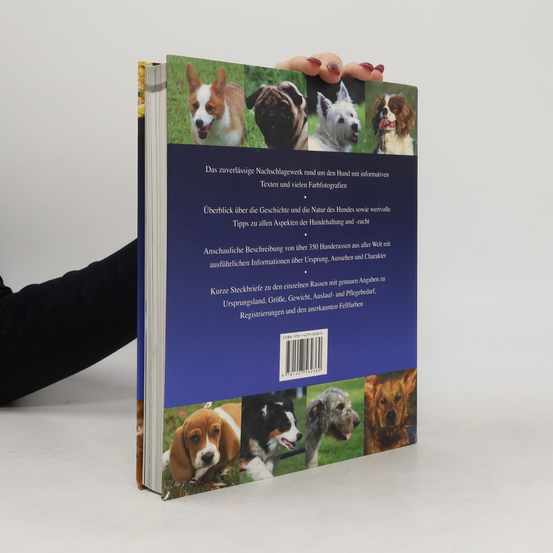 David Alderton Der Hund