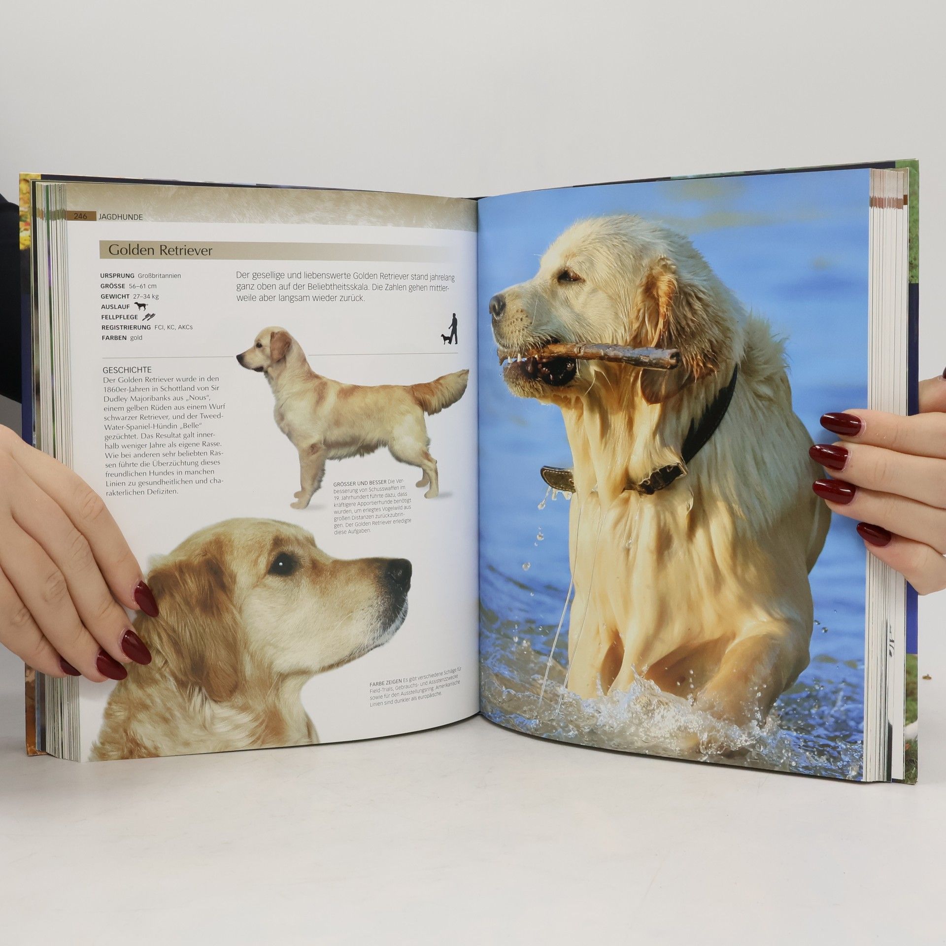David Alderton Der Hund