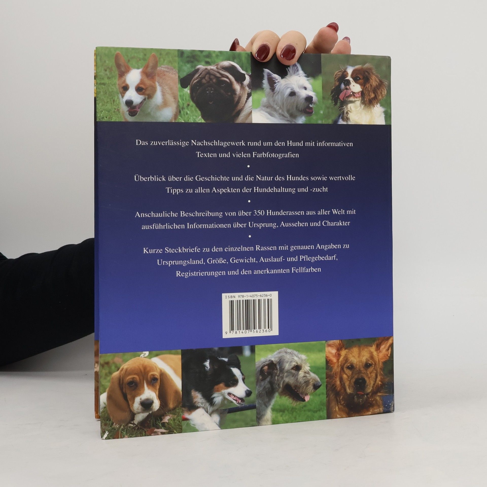 David Alderton Der Hund