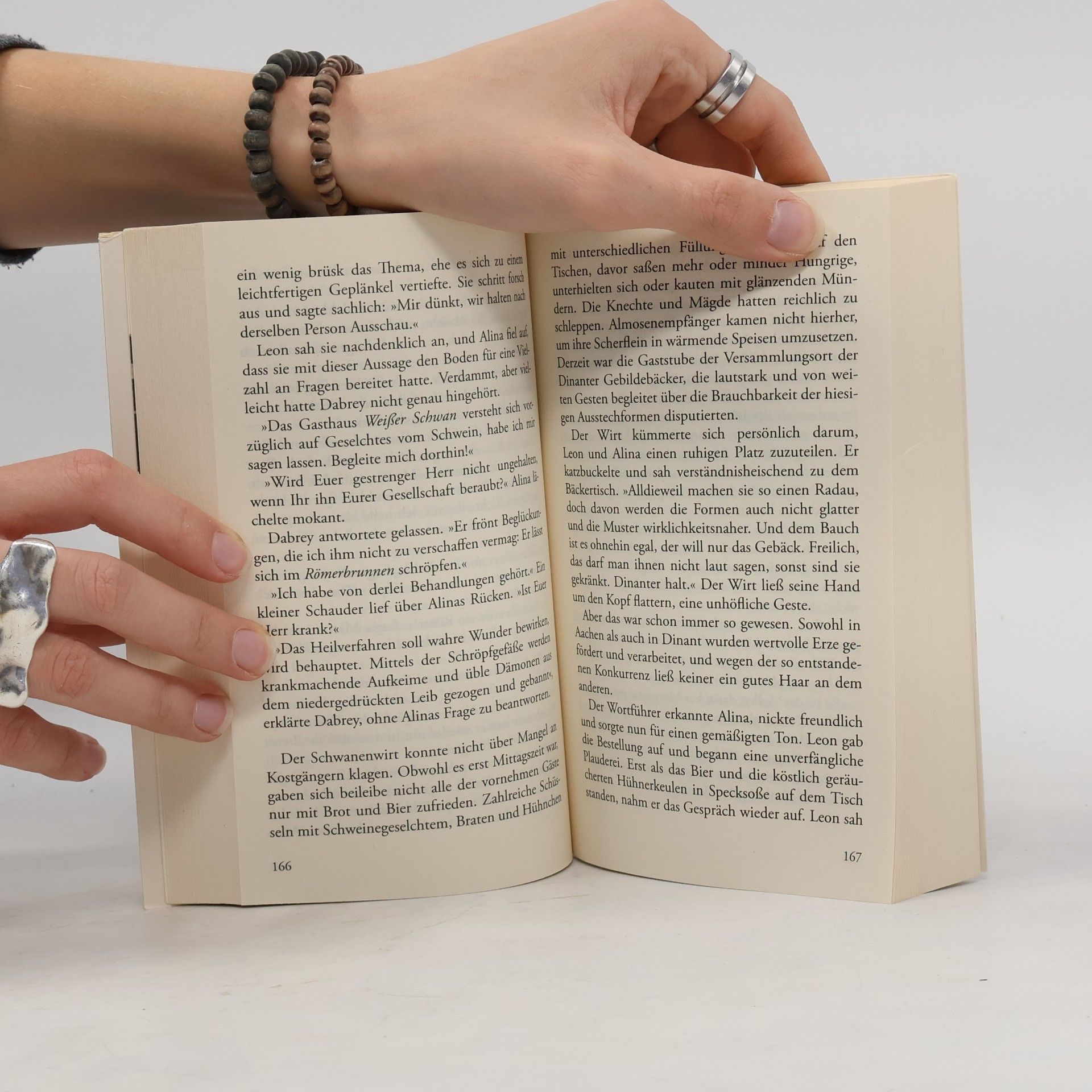 Dagmar Schnabel Die Herrin des Rings