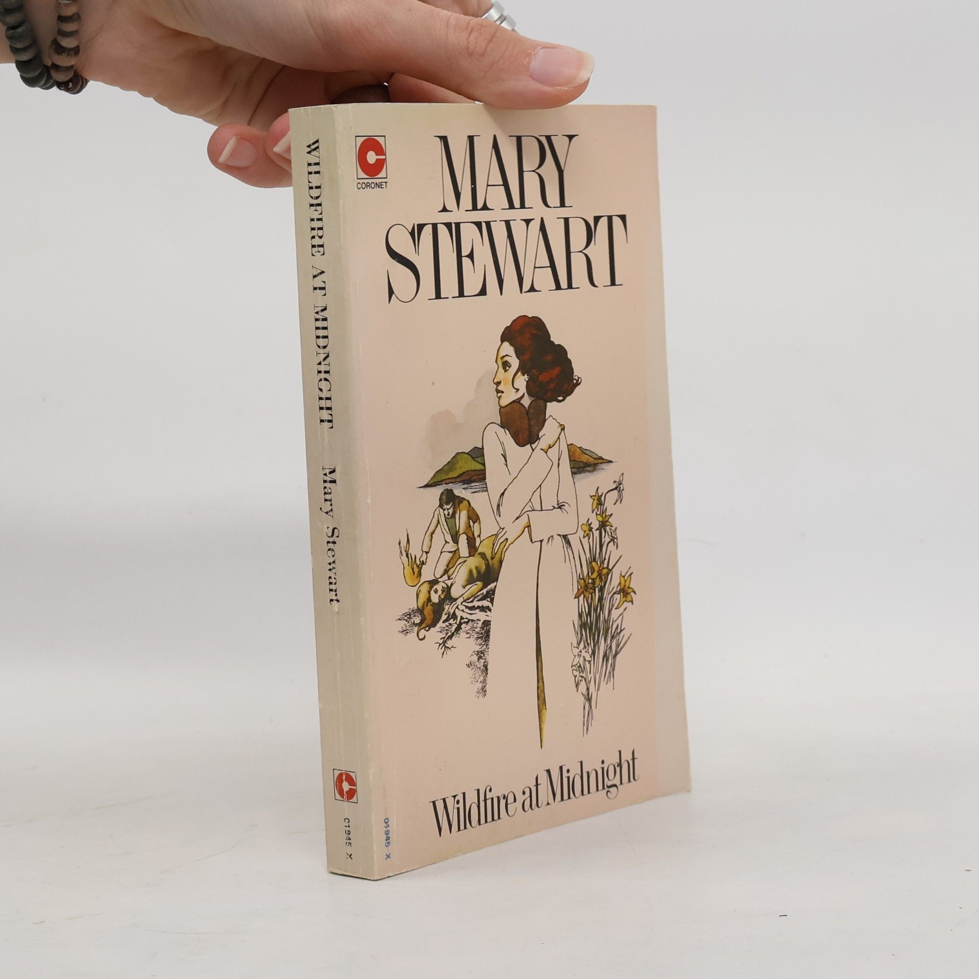 Mary Stewart Wildfire at Midnight